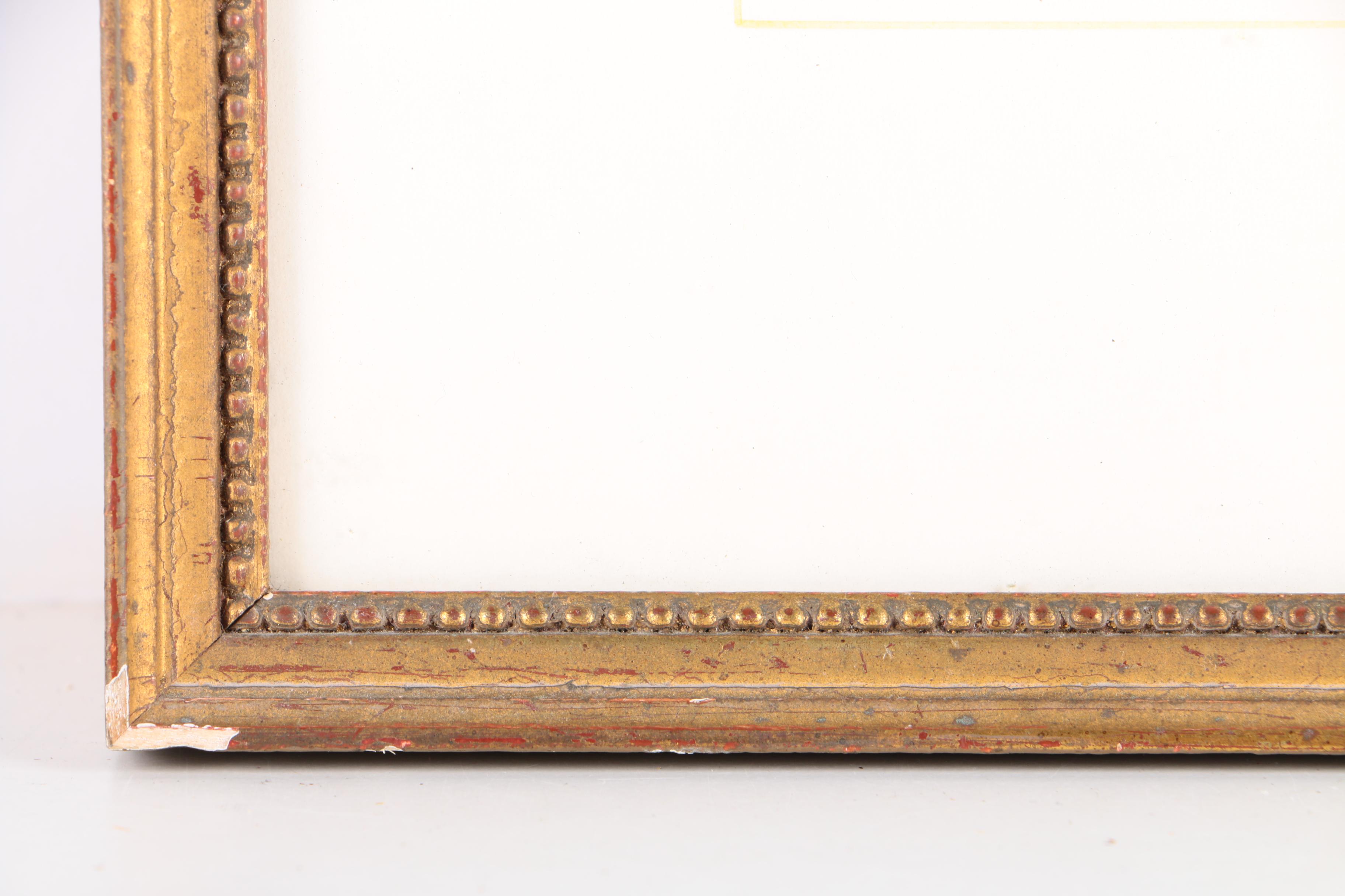 Watercolor Painting on Paper of Collybia Radicata Mushroom