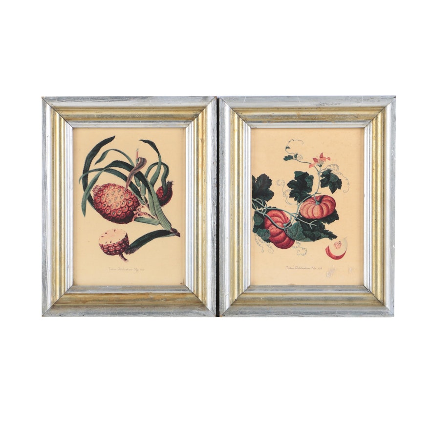 Two Lithographs of Botanical Subjects