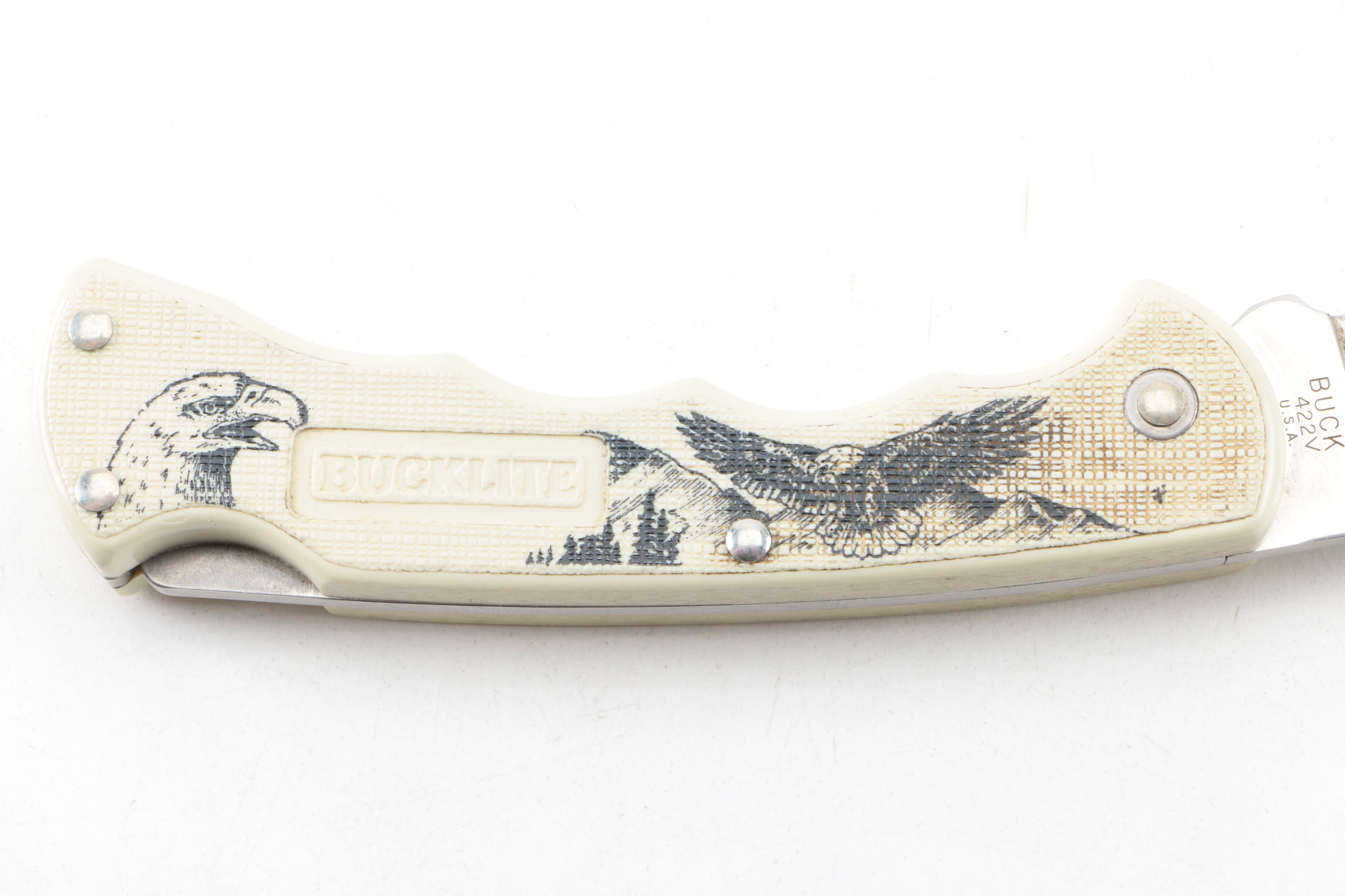 Buck 119 Hunting Knife and 422V Folding Knife