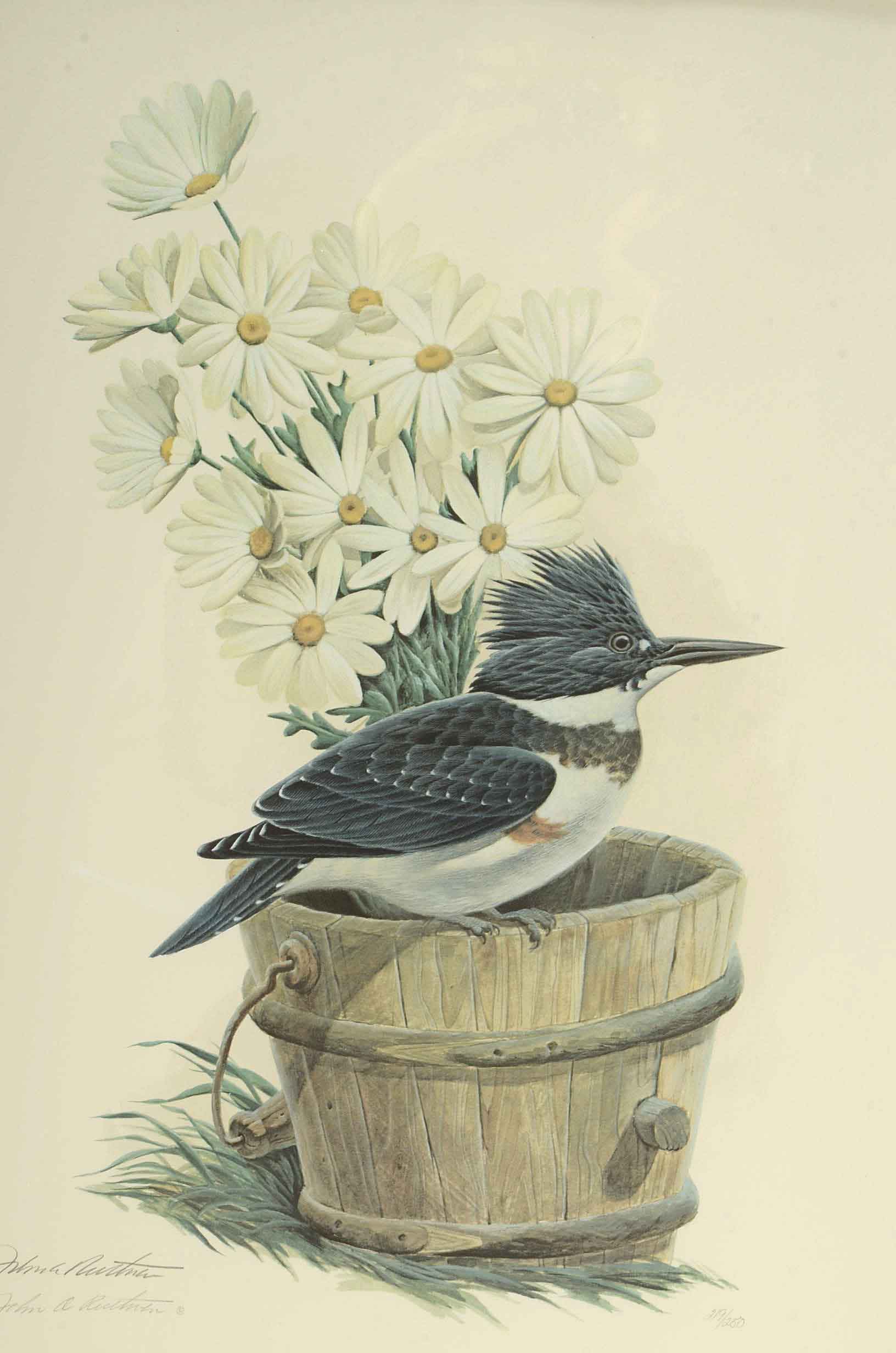 John A Ruthven Signed Limited Edition Offset Lithograph 'Belted Kingfisher'
