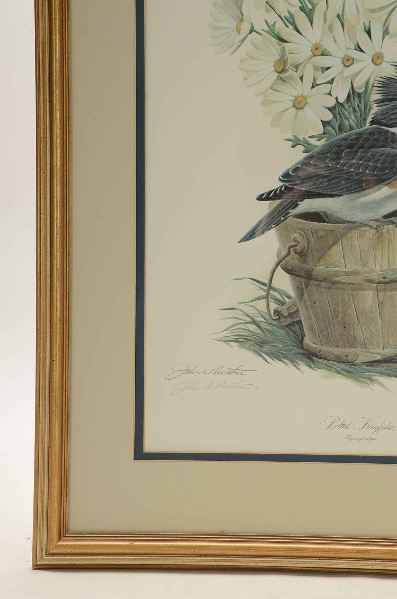 John A Ruthven Signed Limited Edition Offset Lithograph 'Belted Kingfisher'