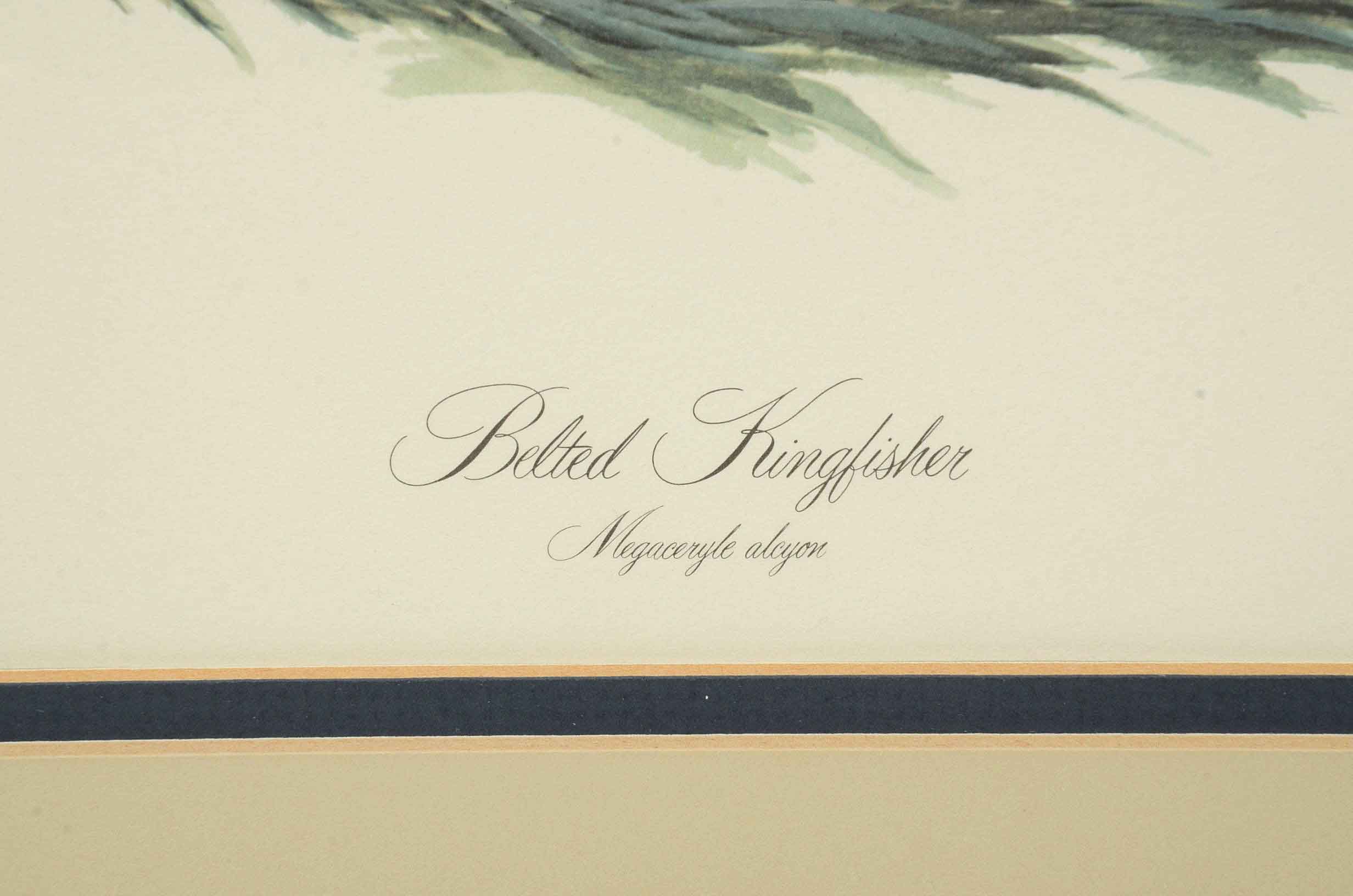 John A Ruthven Signed Limited Edition Offset Lithograph 'Belted Kingfisher'