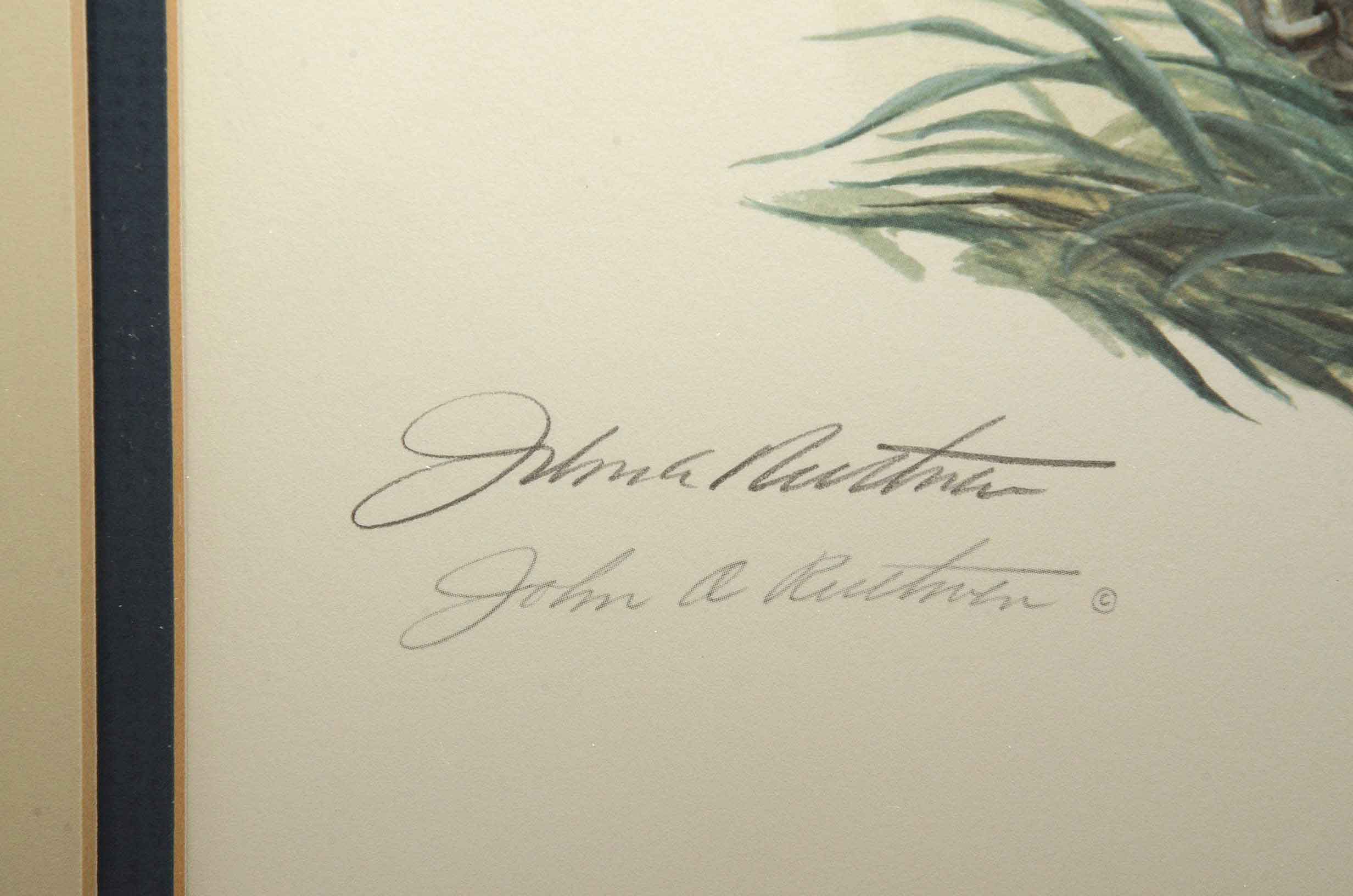 John A Ruthven Signed Limited Edition Offset Lithograph 'Belted Kingfisher'