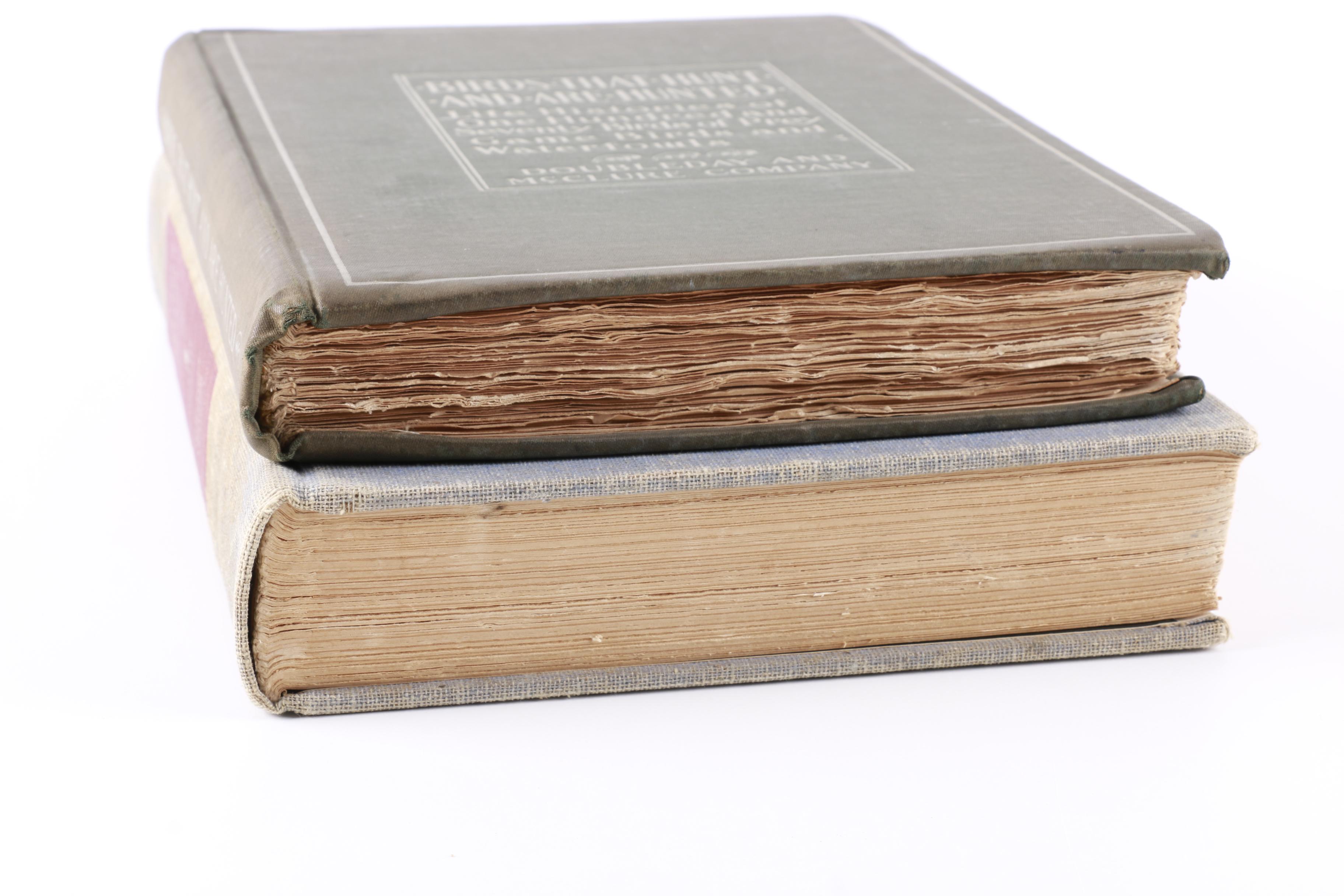 1899 "Birds that Hunt and are Hunted" and 1940 "Audubon's America"