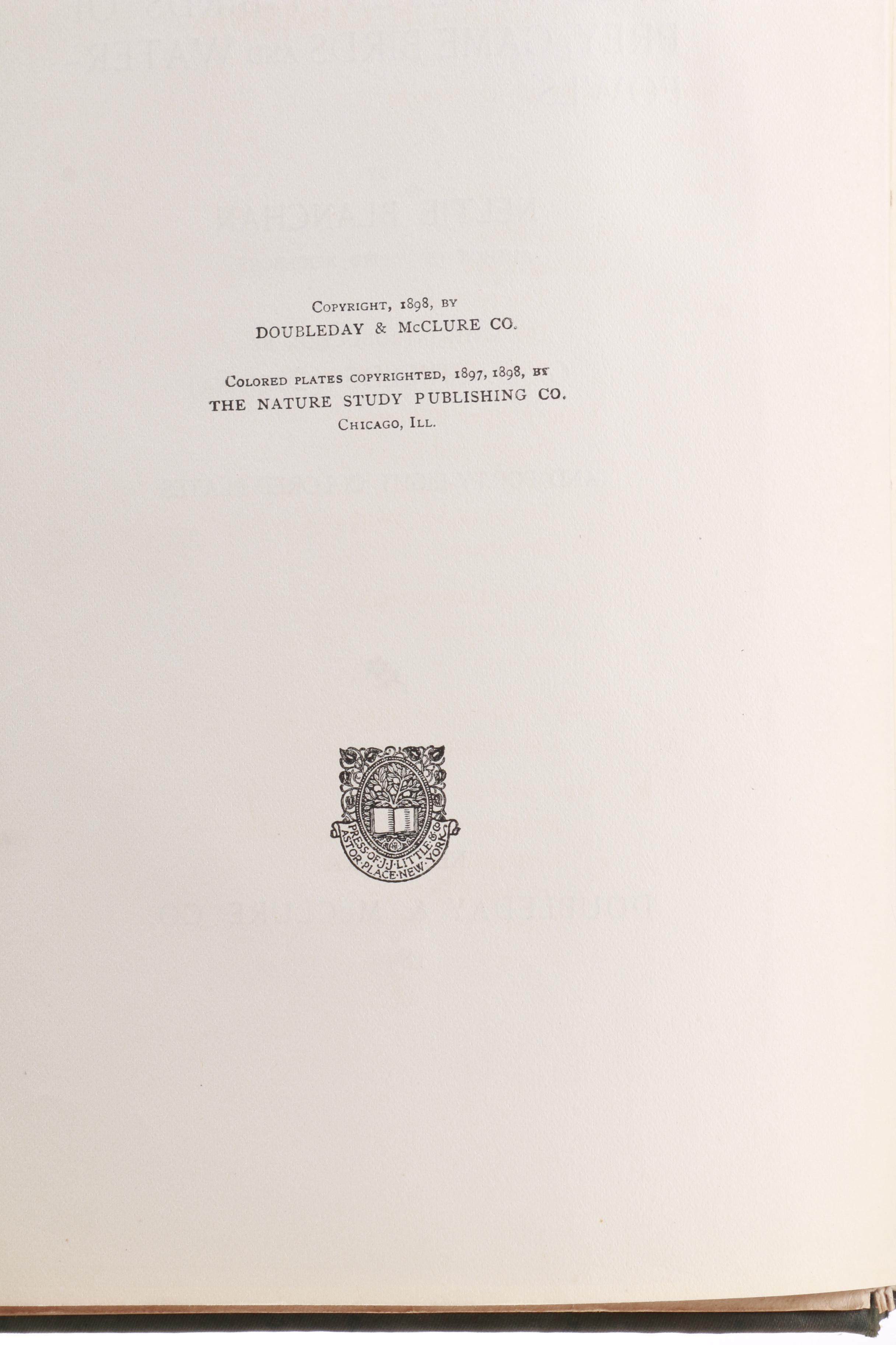 1899 "Birds that Hunt and are Hunted" and 1940 "Audubon's America"