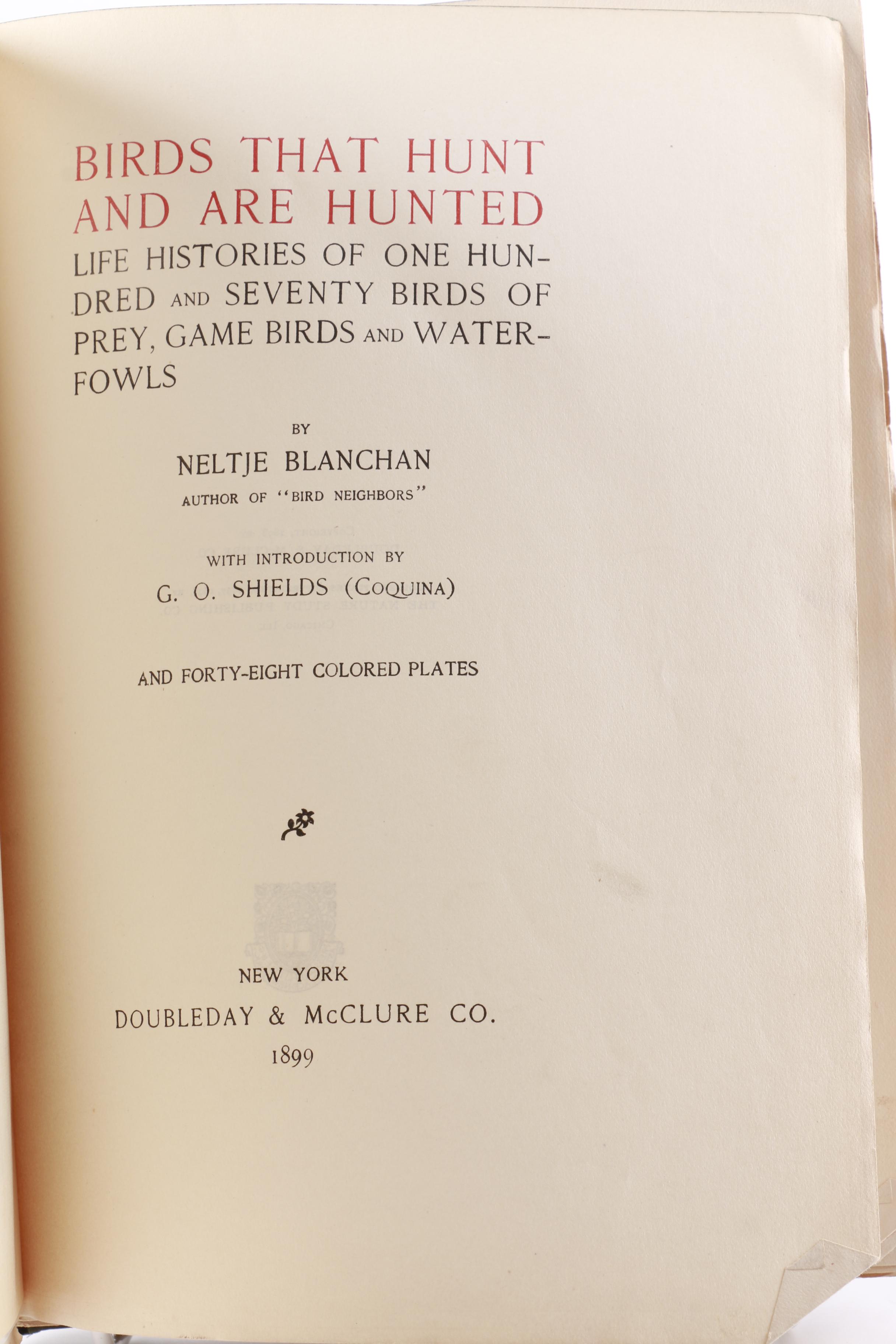 1899 "Birds that Hunt and are Hunted" and 1940 "Audubon's America"