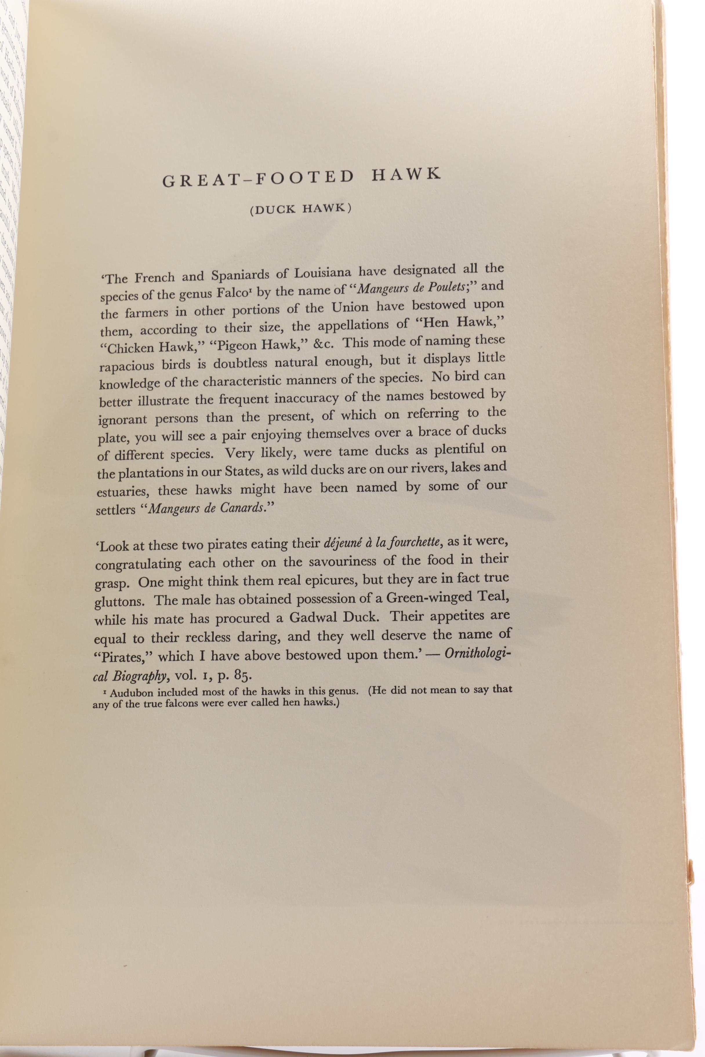 1899 "Birds that Hunt and are Hunted" and 1940 "Audubon's America"