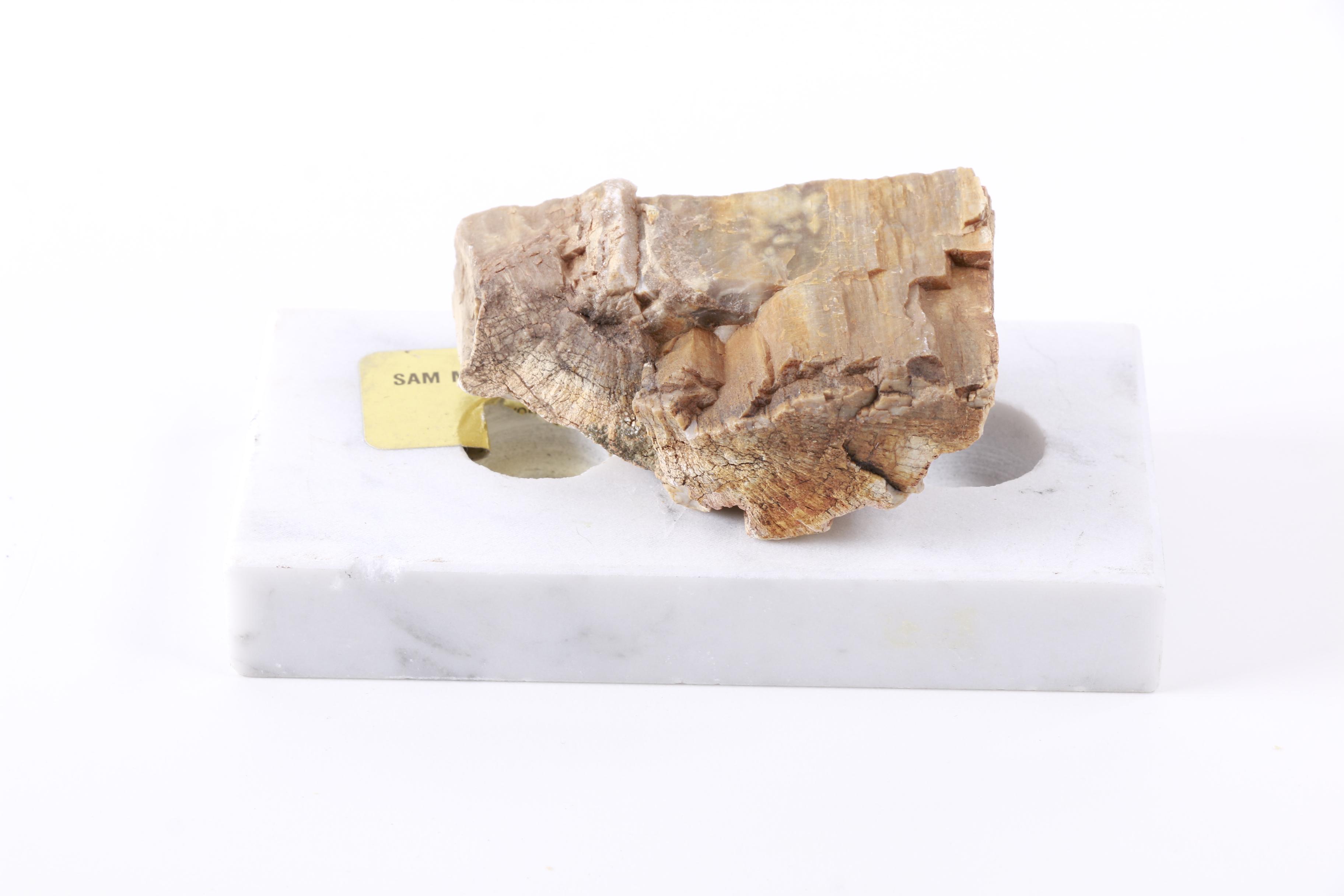 Mineral and Rock Specimens