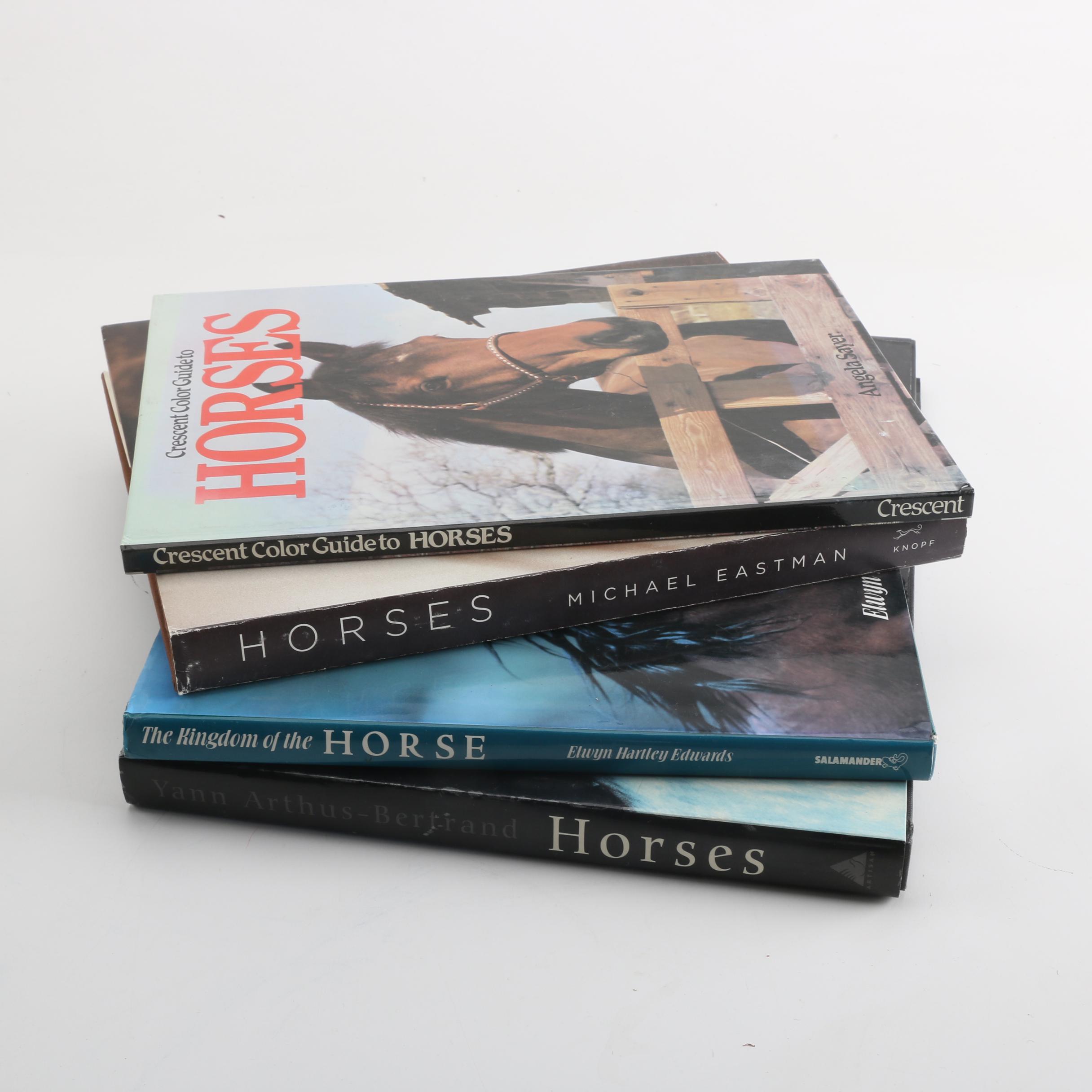 Horse Themed Photography Books