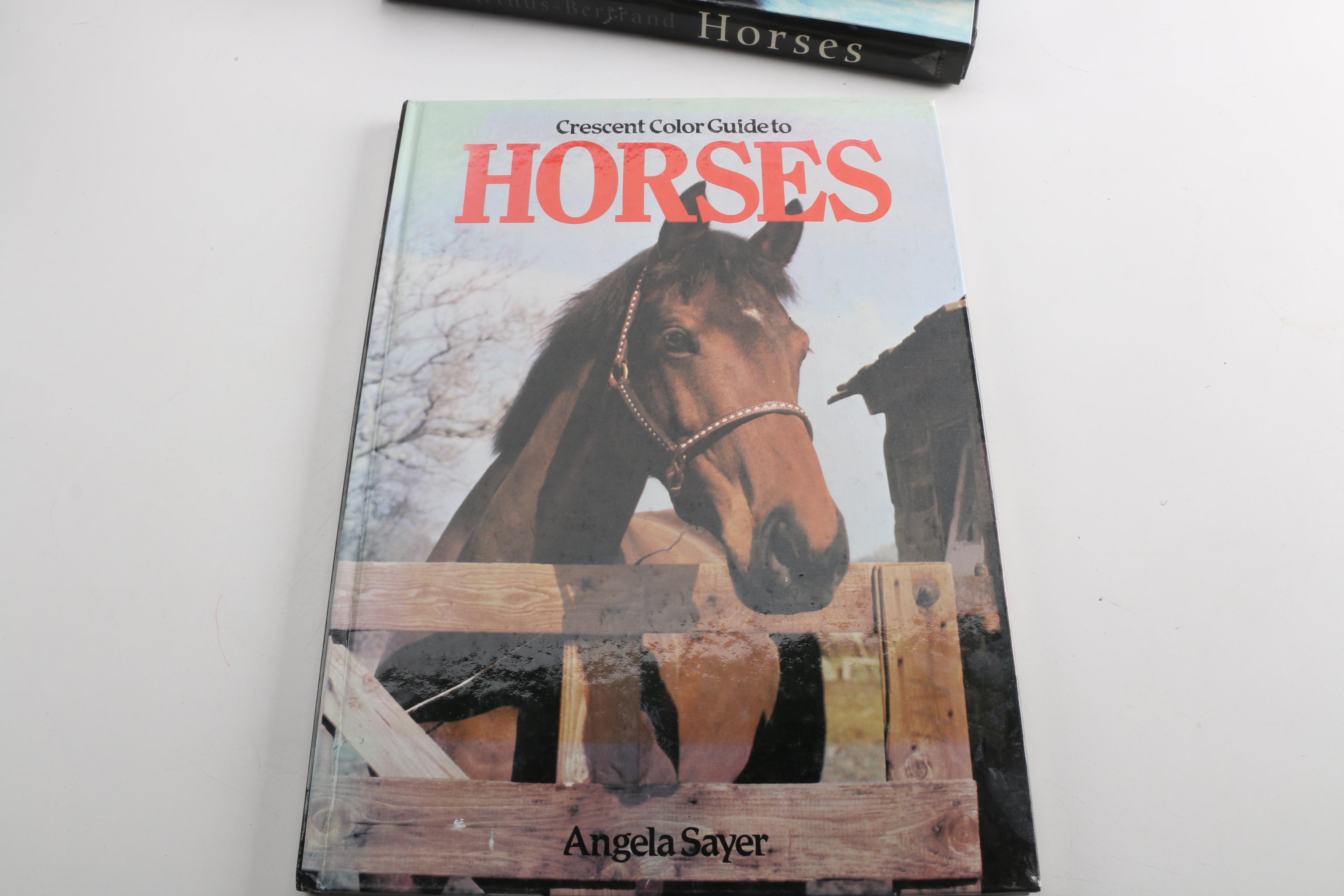 Horse Themed Photography Books