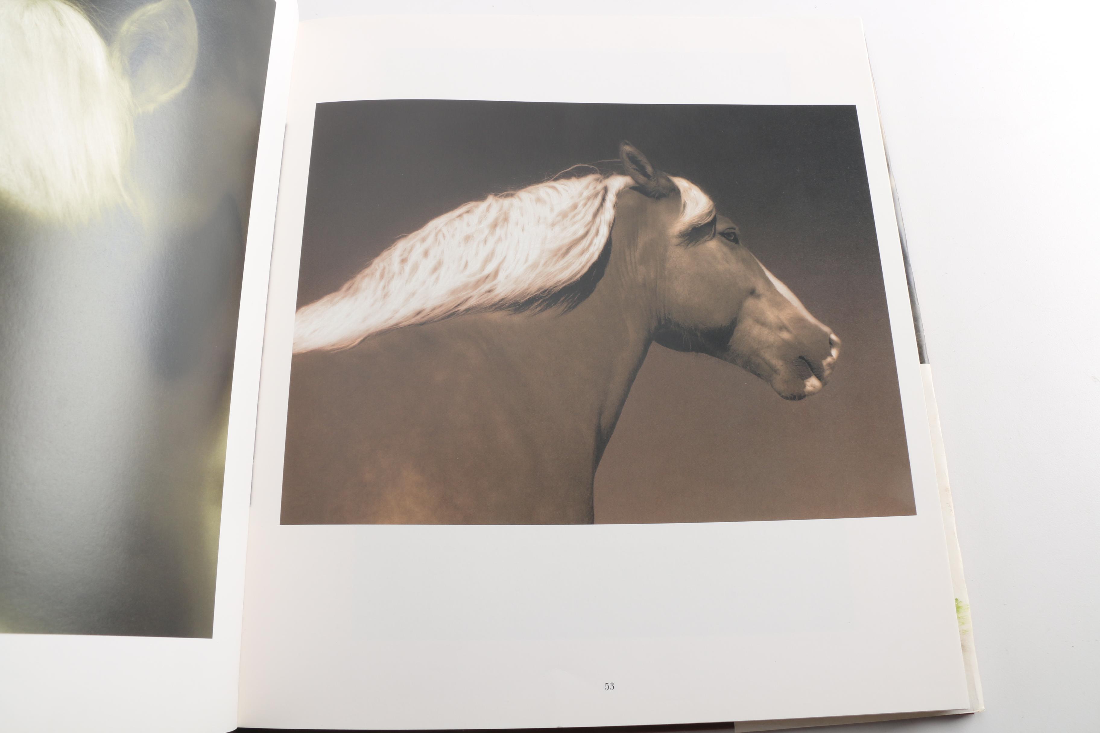 Horse Themed Photography Books