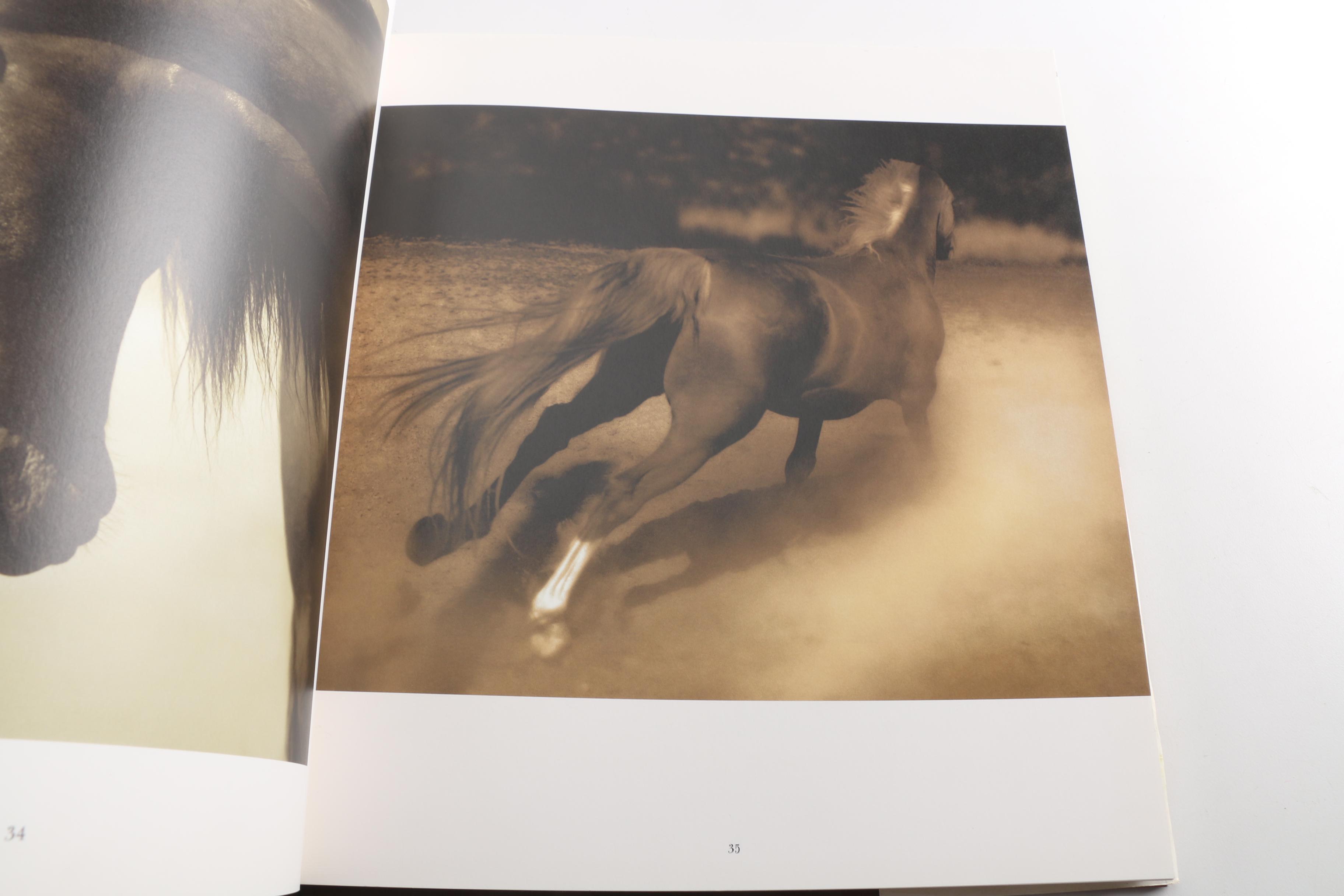 Horse Themed Photography Books