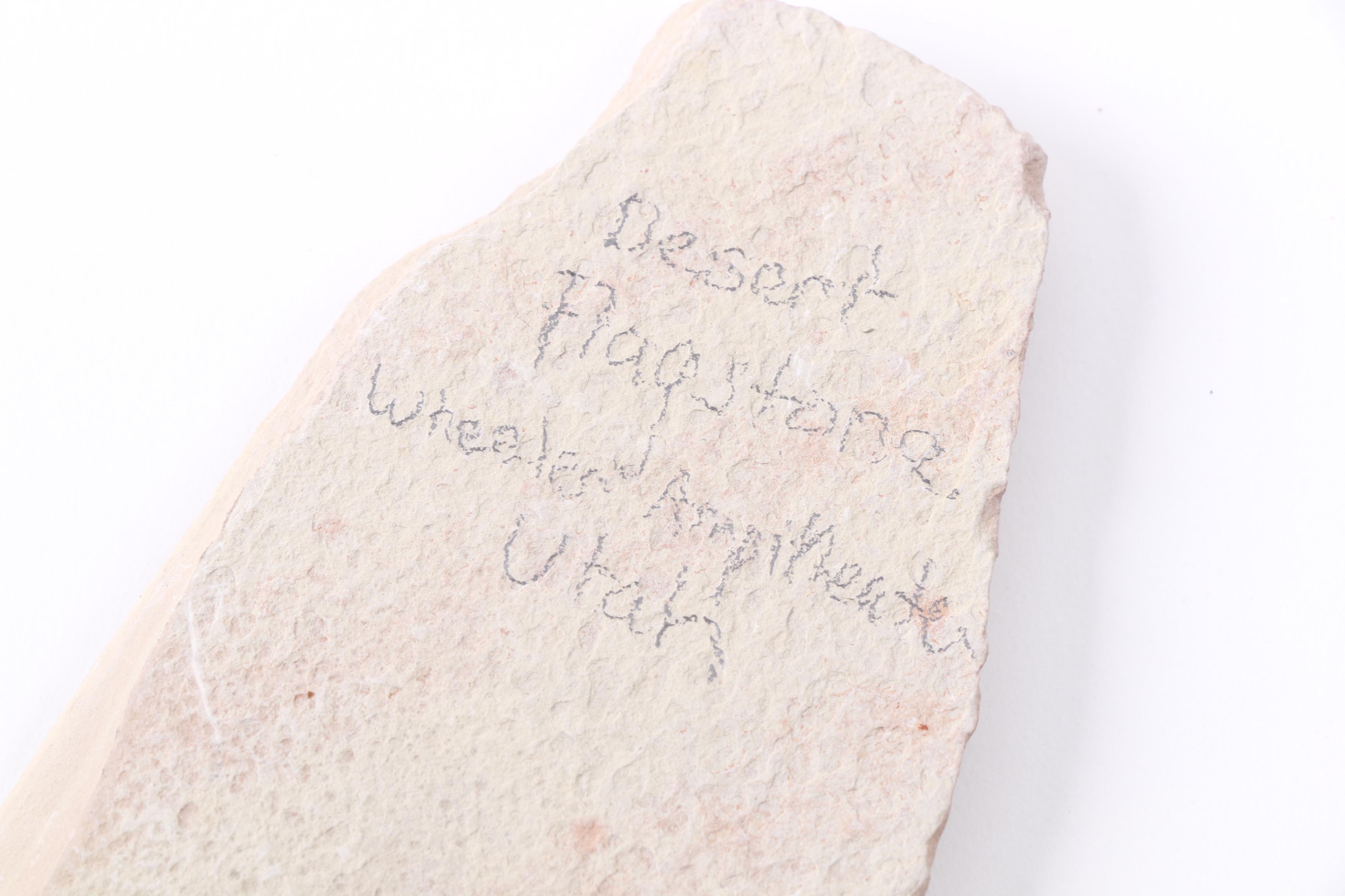 Mineral and Rock Specimens