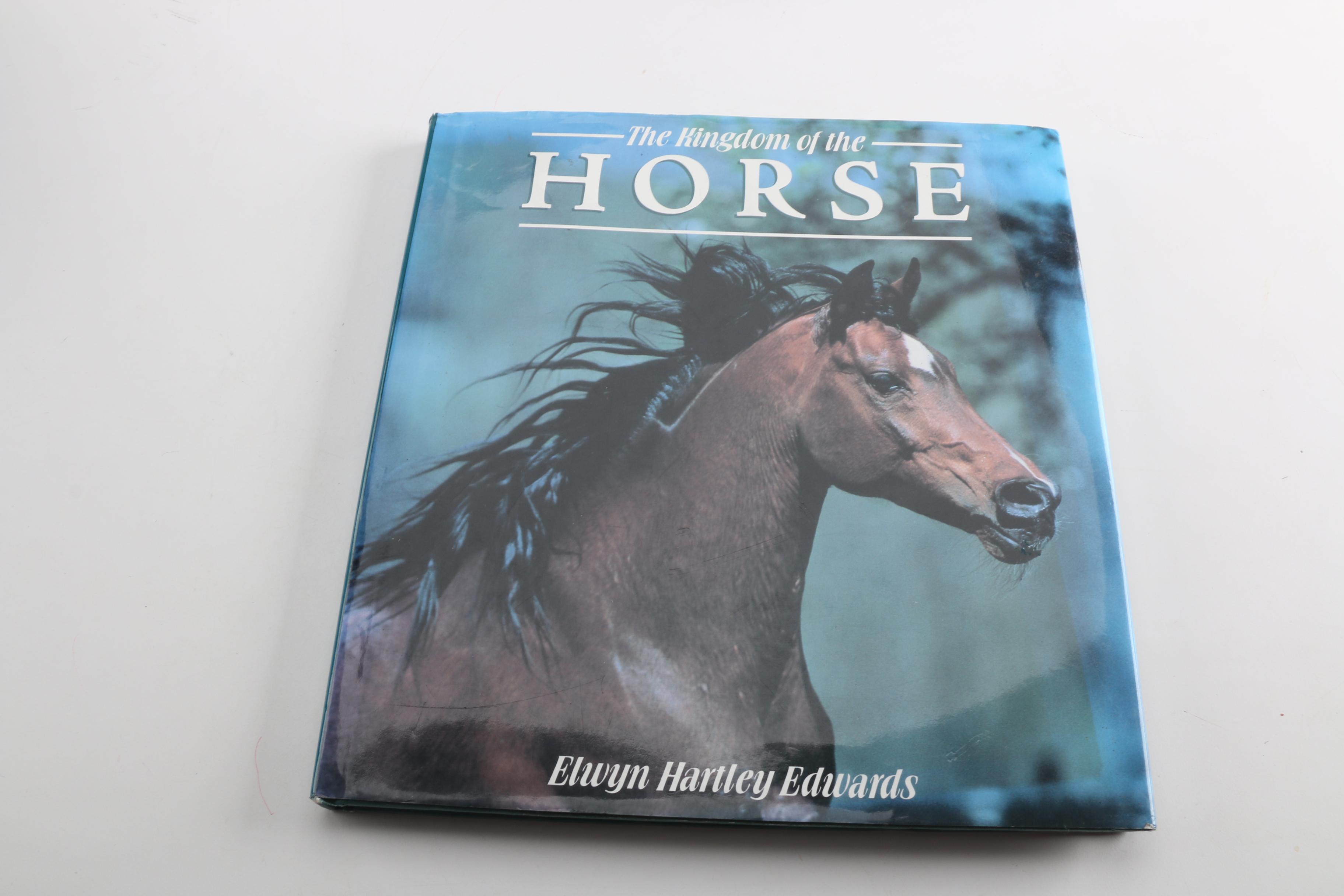 Horse Themed Photography Books