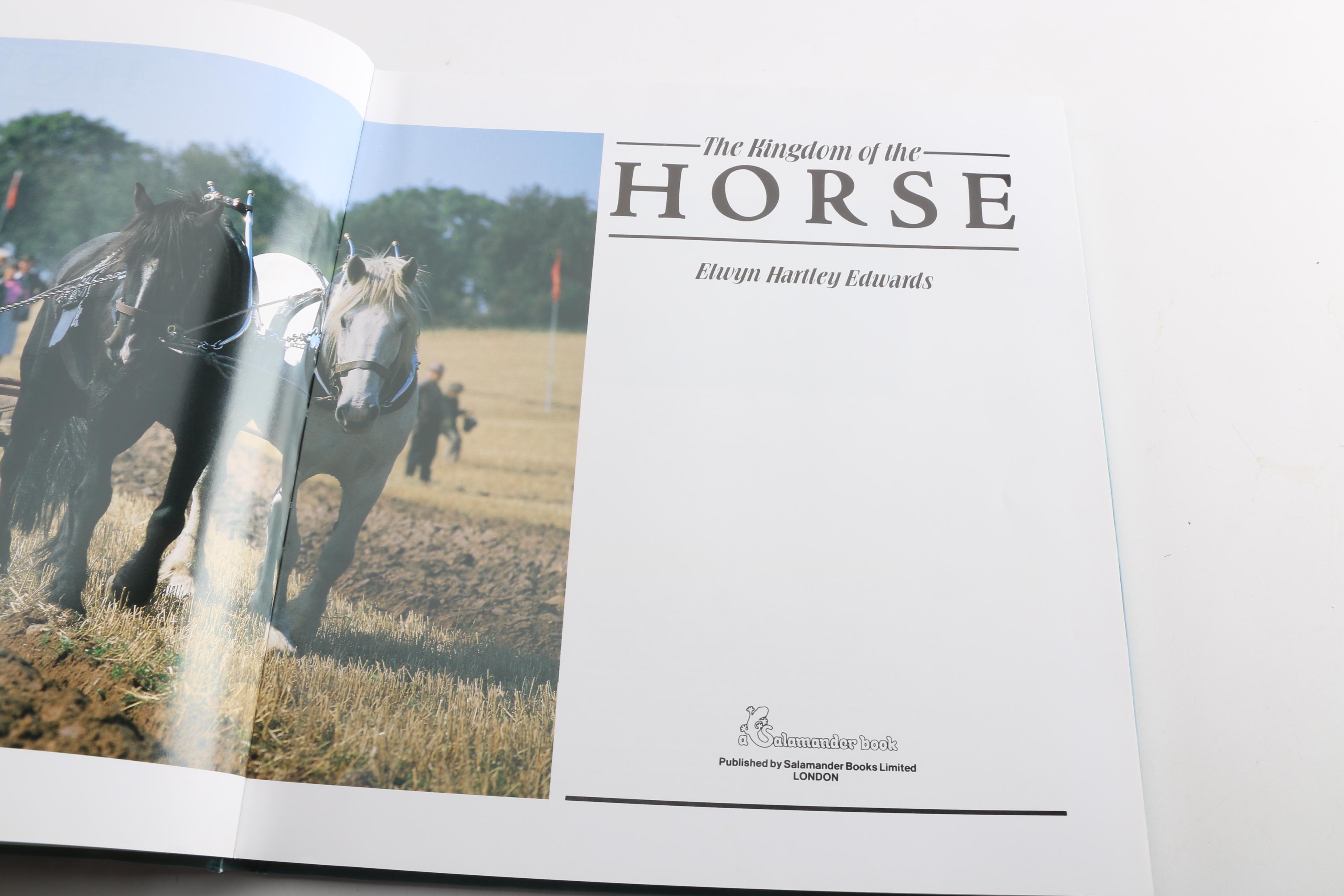 Horse Themed Photography Books