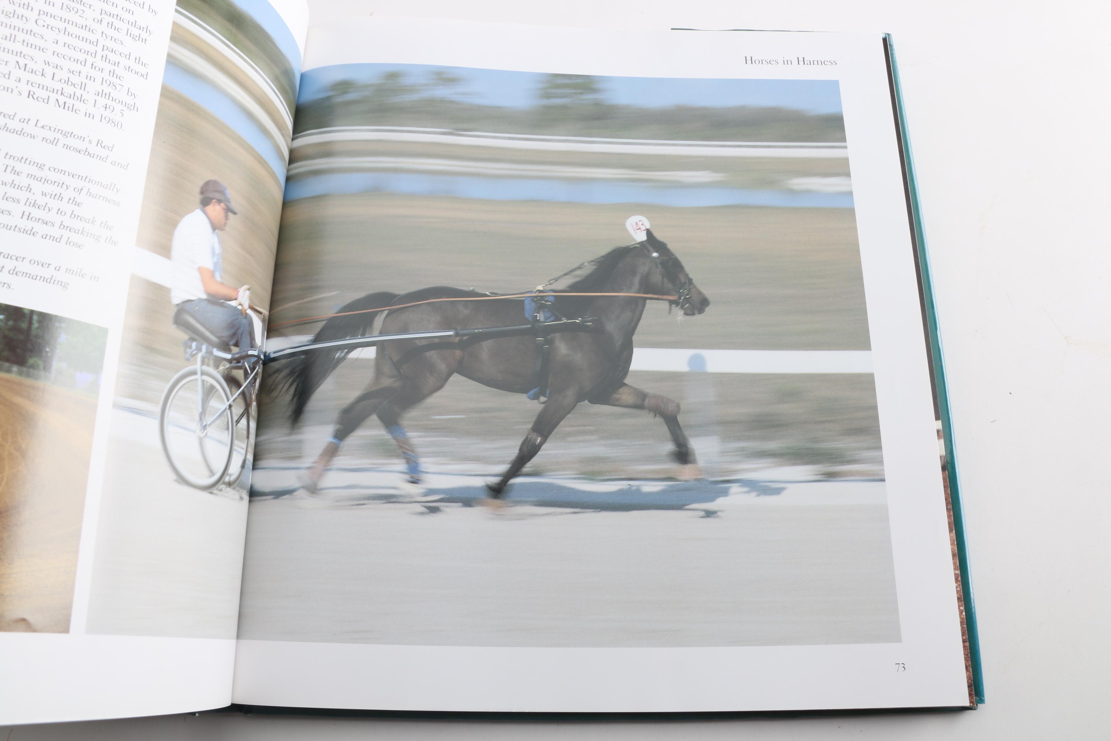 Horse Themed Photography Books