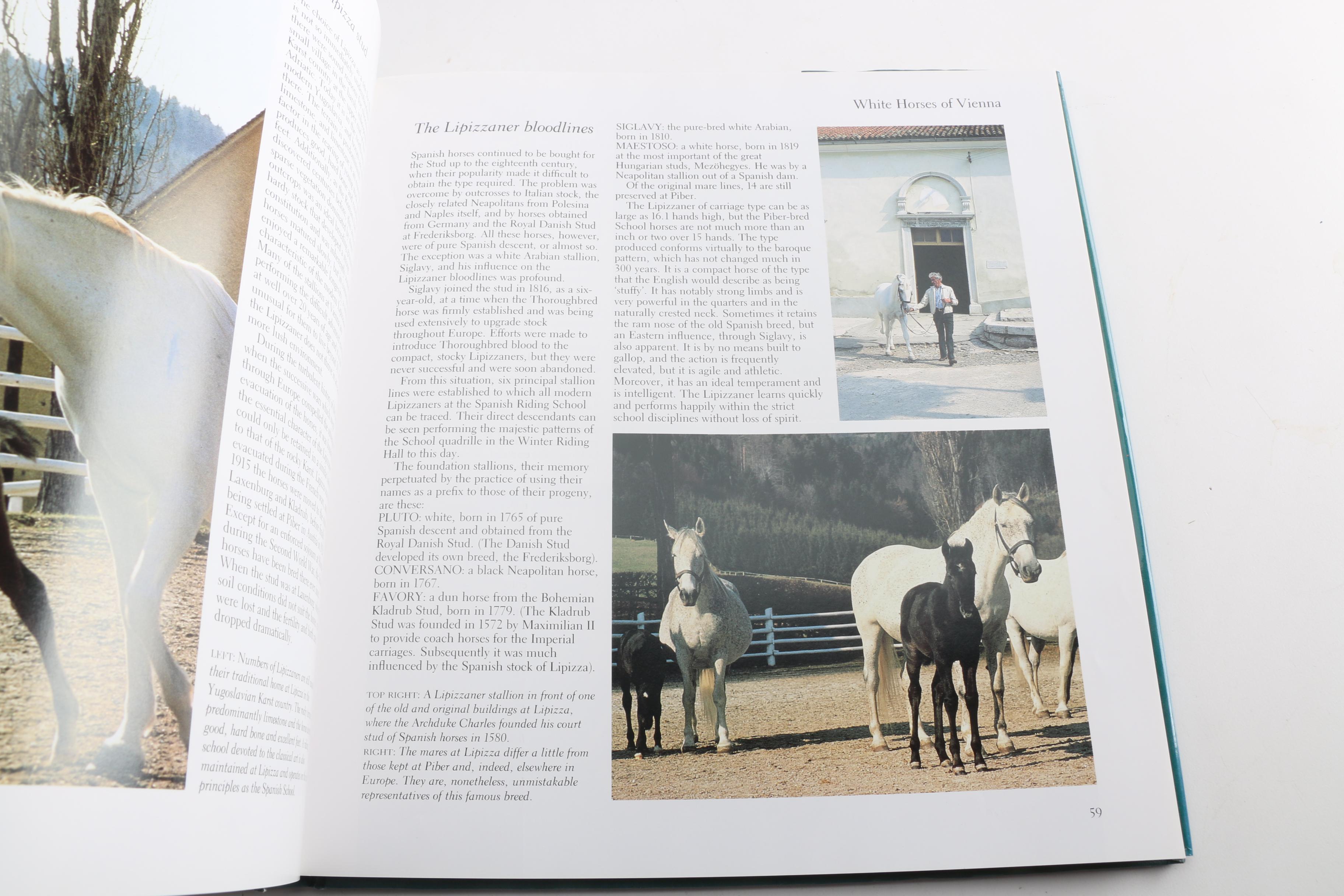 Horse Themed Photography Books