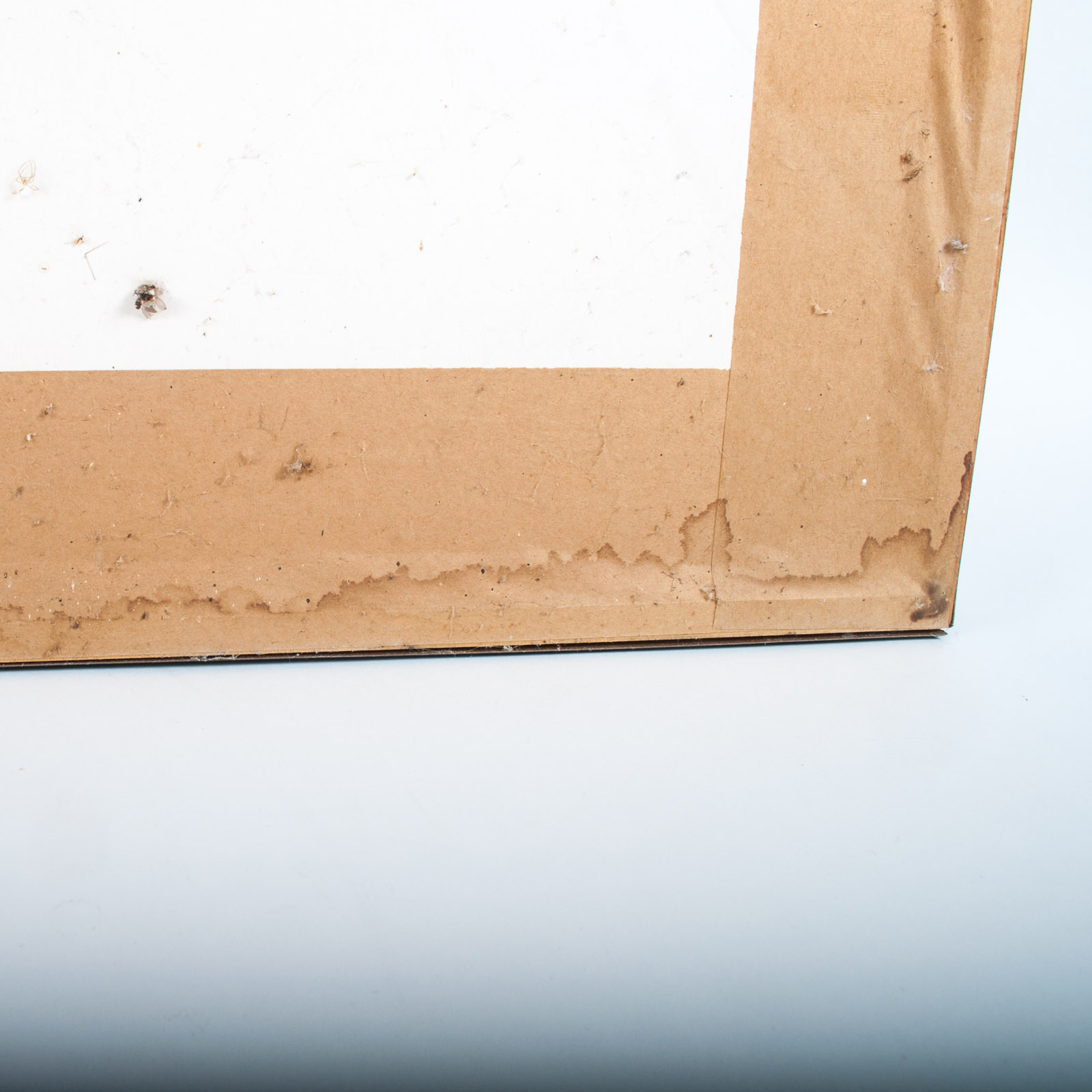 Framed Vintage 'Wild and Woolfy' Poster