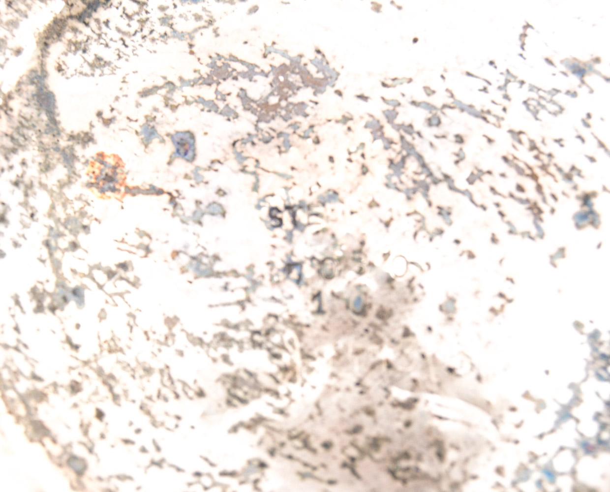 Meriden Britannia Company Sterling Silver Basket and Additional Decorative Items