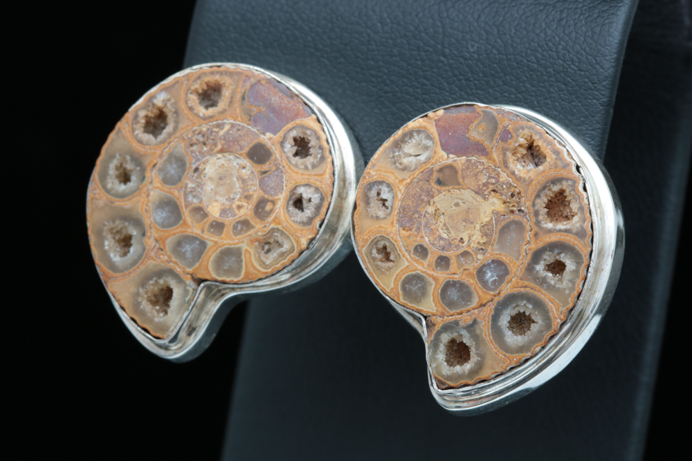 Sterling Silver and Ammonite Spiral Shell Earrings