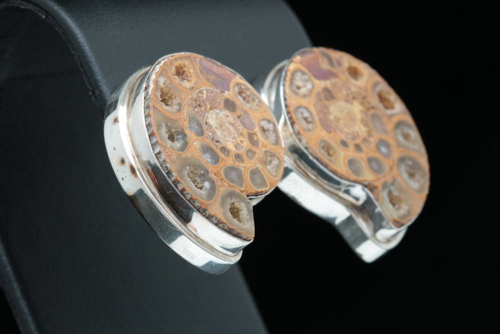 Sterling Silver and Ammonite Spiral Shell Earrings