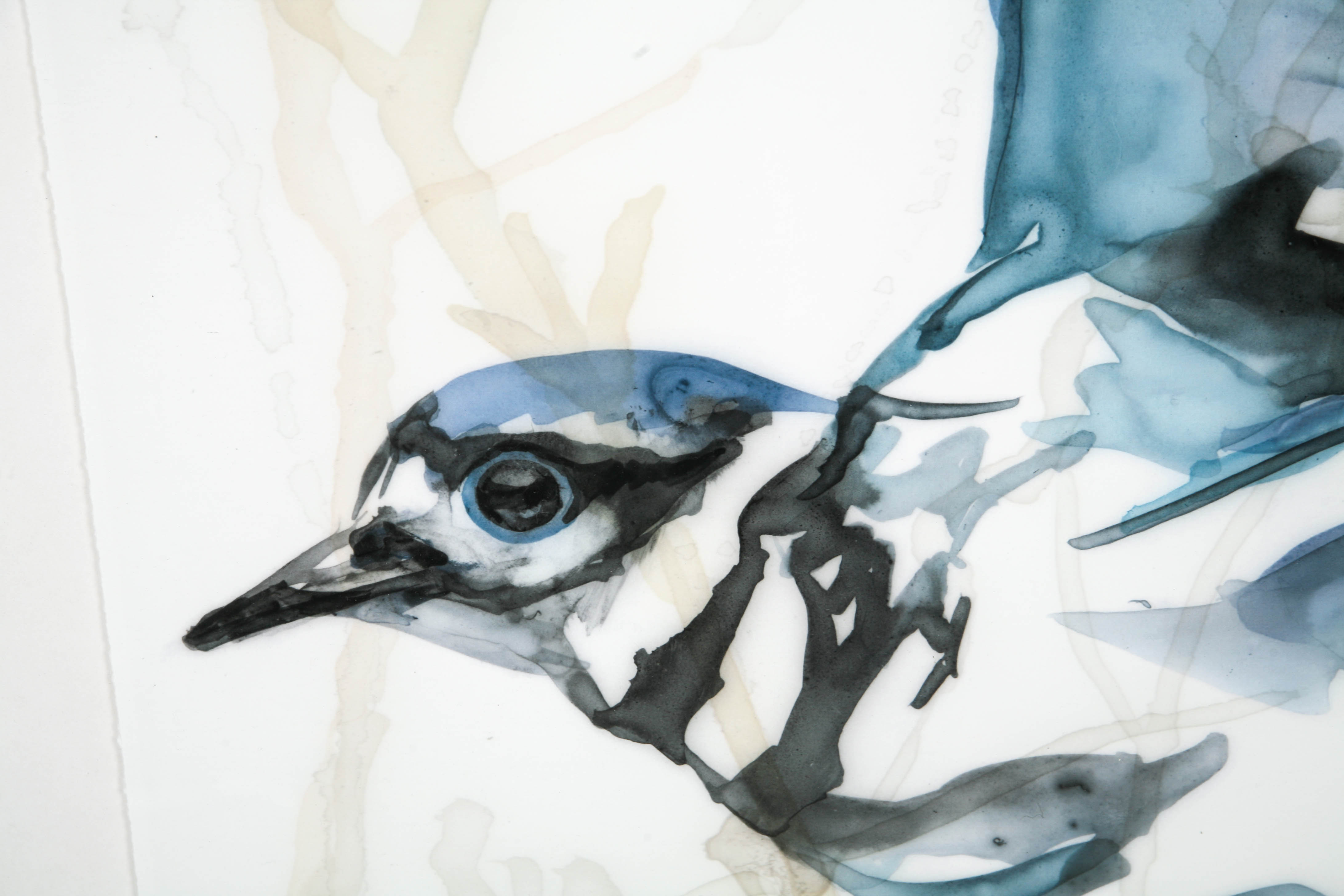 Framed Lithograph on Paper "High in Flight 1"