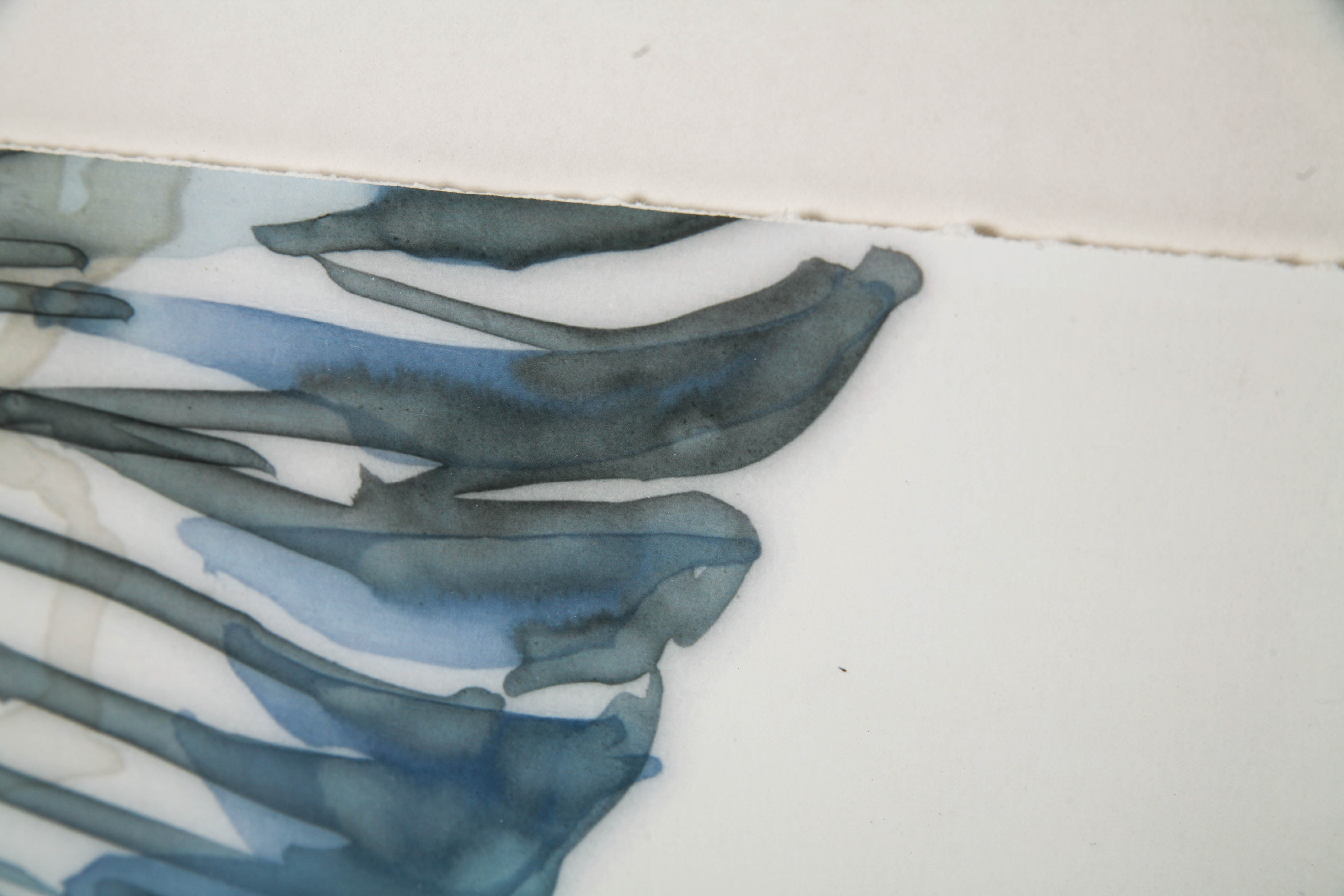 Framed Lithograph on Paper "High in Flight 1"