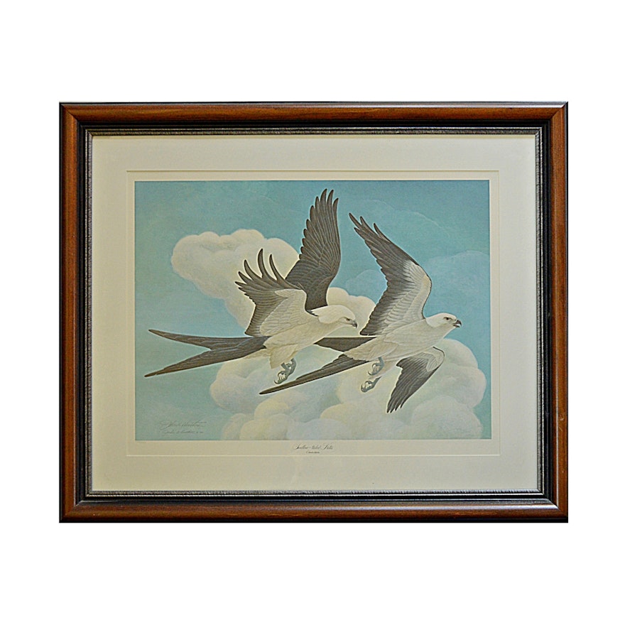 John Ruthven Signed Limited Edition Offset Lithograph "Swallow-tailed Kites"