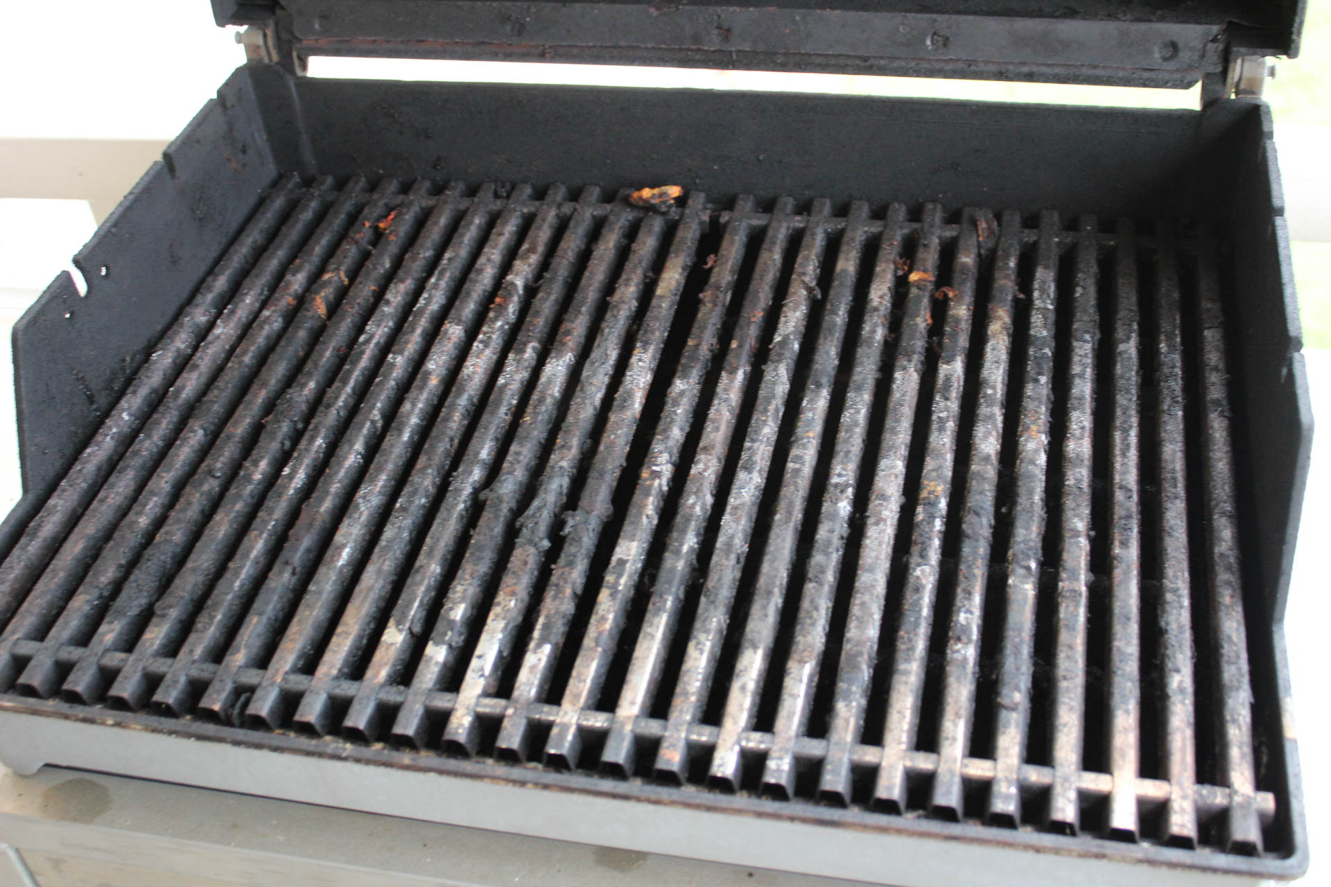 Weber Genesis Platinum Gas Grill