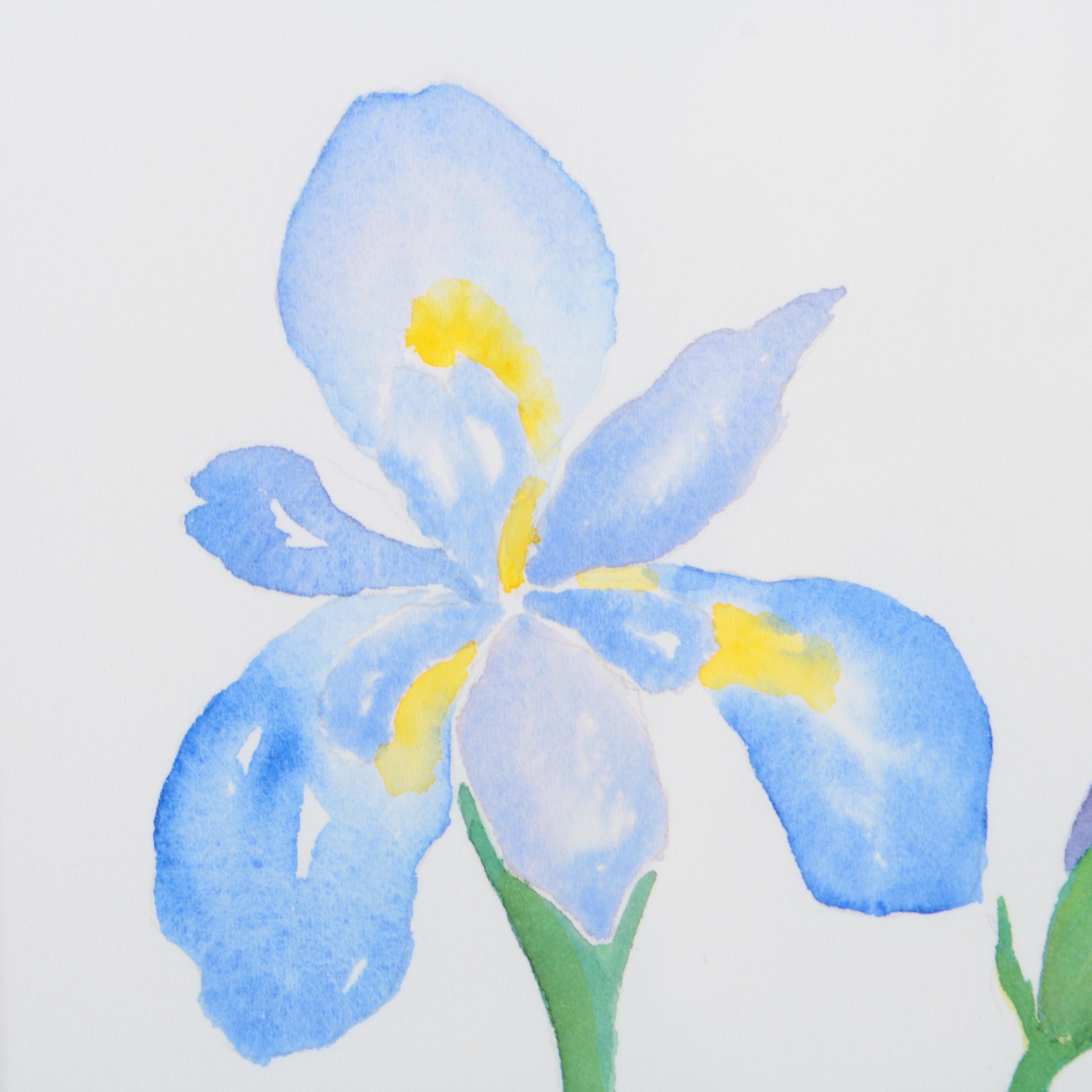S. Libby Watercolor Paintings on Paper of Irises