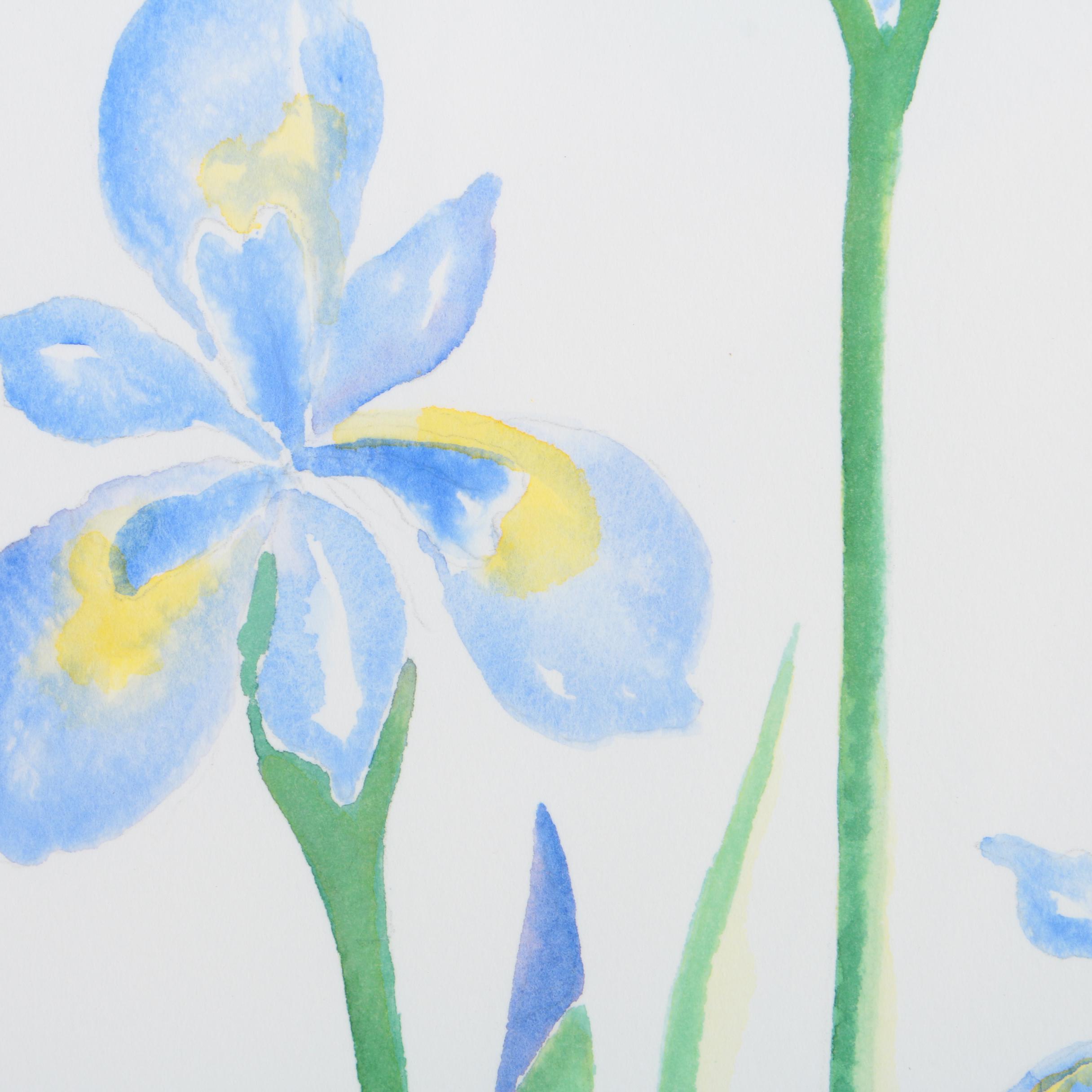 S. Libby Watercolor Paintings on Paper of Irises