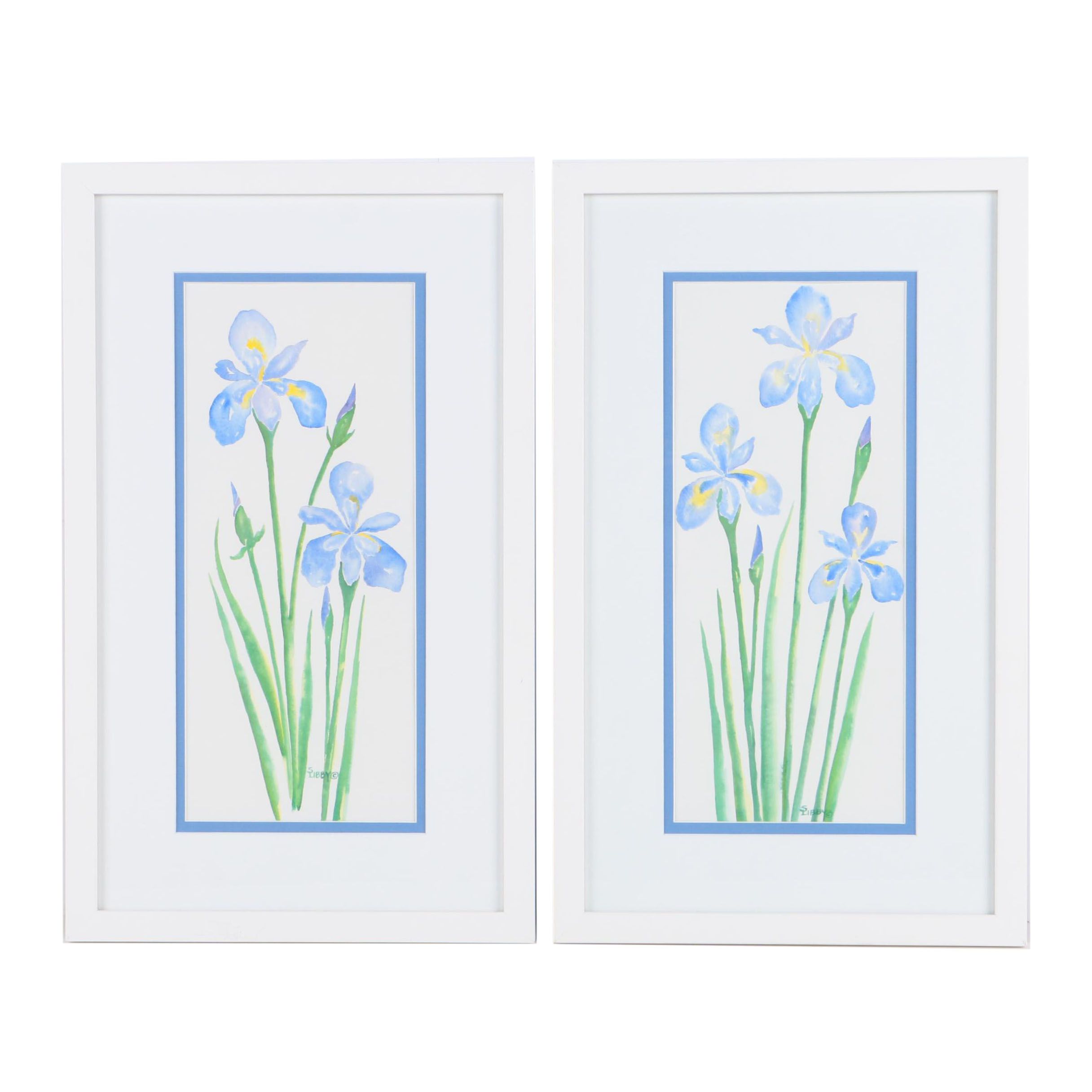 S. Libby Watercolor Paintings on Paper of Irises