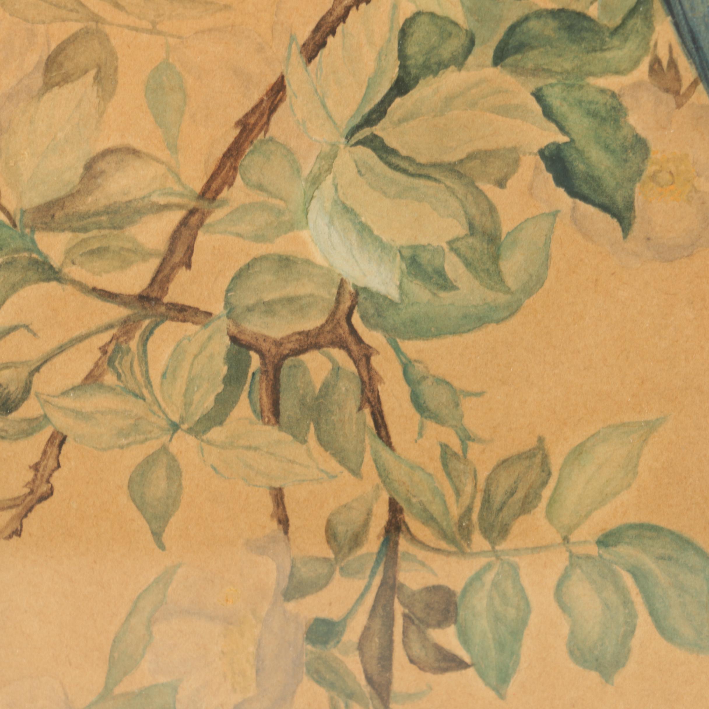 T. Prothero Watercolor Painting on Paper of Parrot