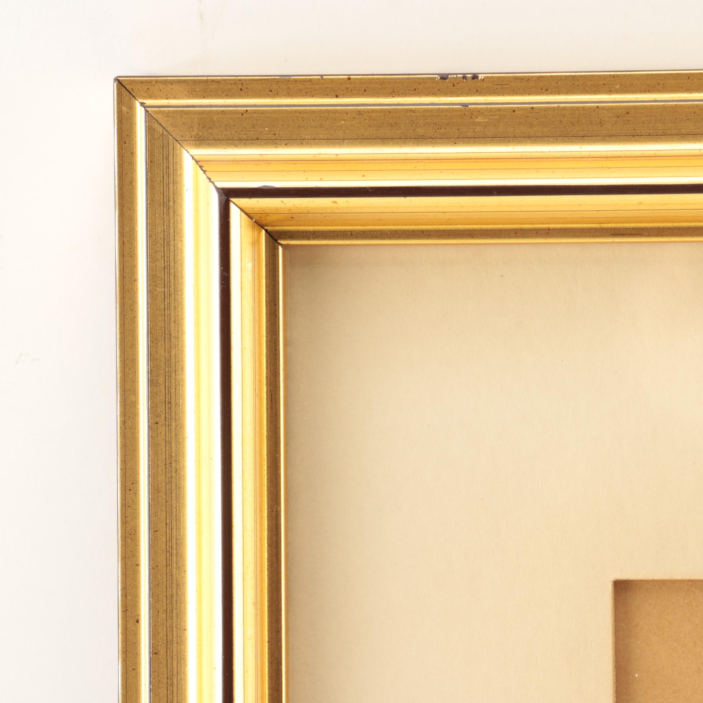 T. Prothero Watercolor Painting on Paper of Parrot