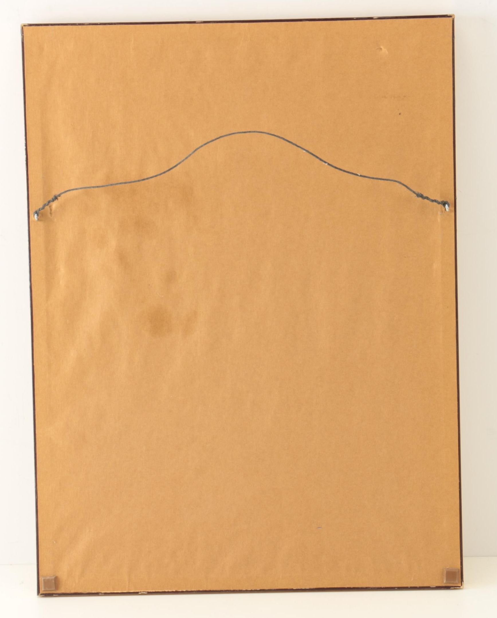 T. Prothero Watercolor Painting on Paper of Parrot