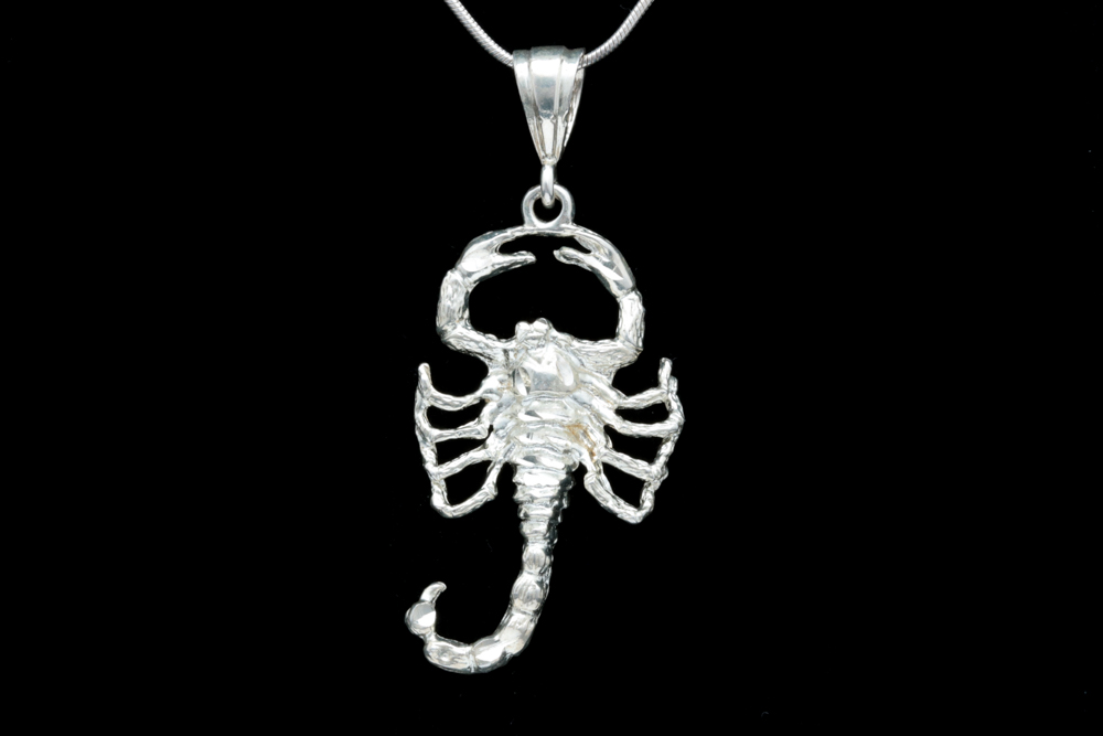Sterling Silver Scorpion Pendant with Chain