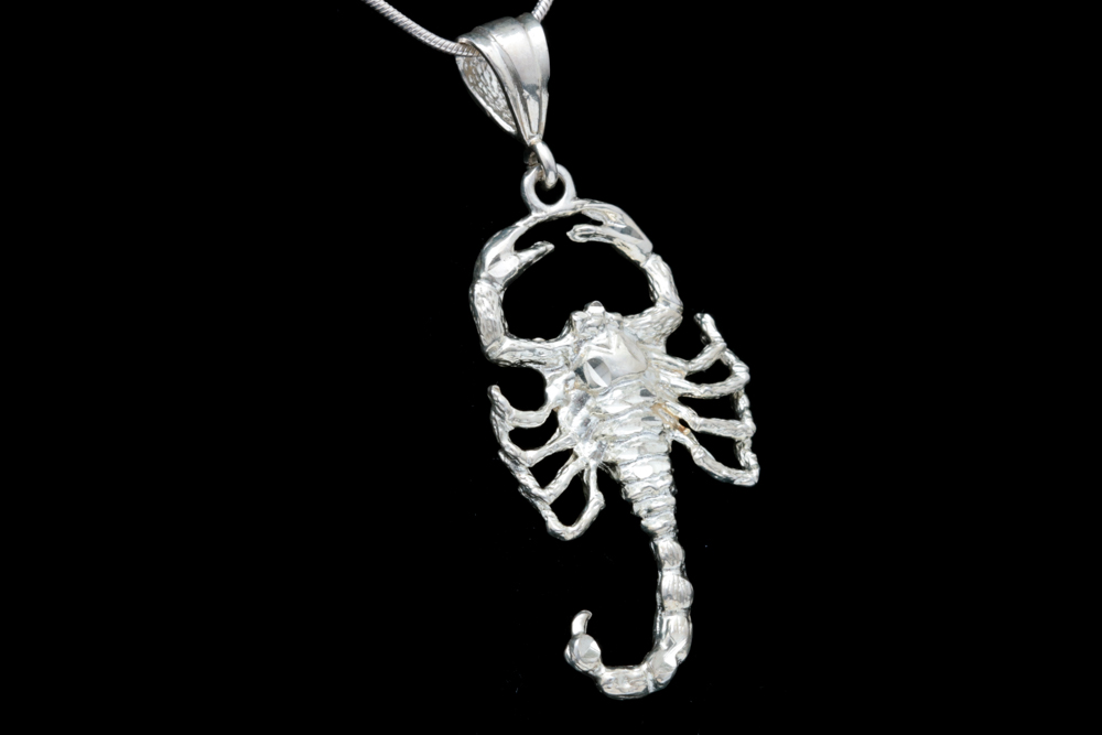 Sterling Silver Scorpion Pendant with Chain