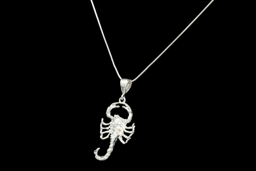 Sterling Silver Scorpion Pendant with Chain