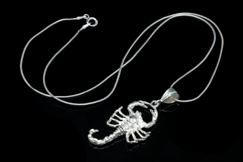 Sterling Silver Scorpion Pendant with Chain