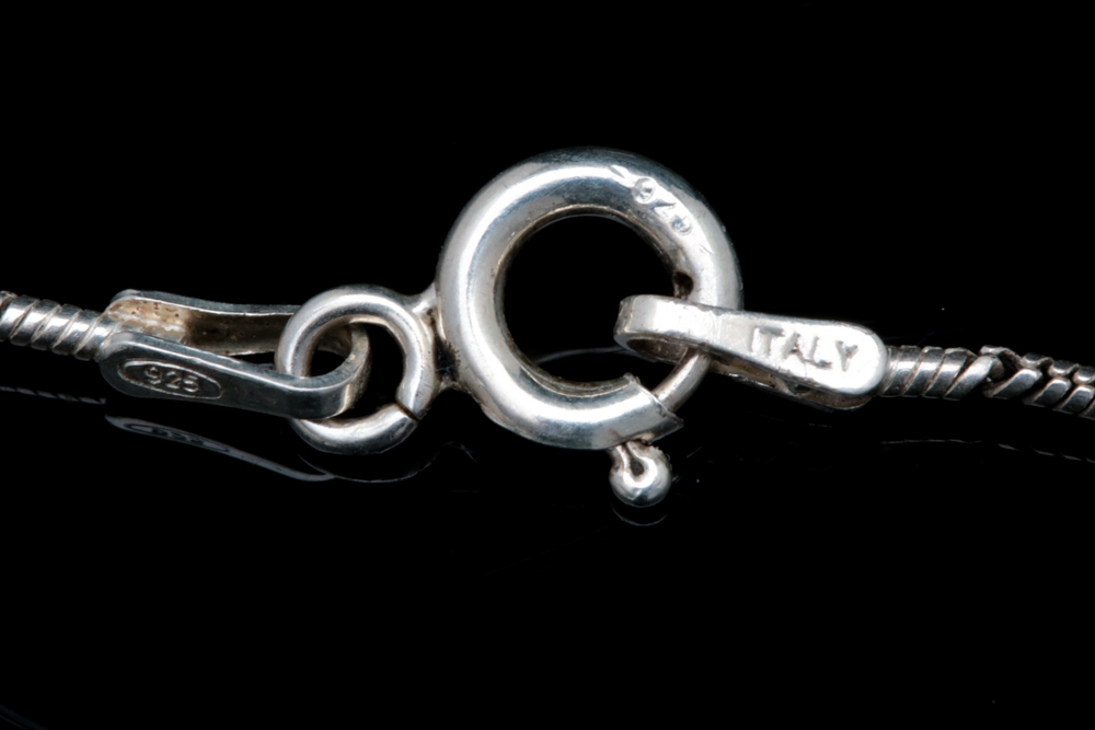 Sterling Silver Scorpion Pendant with Chain