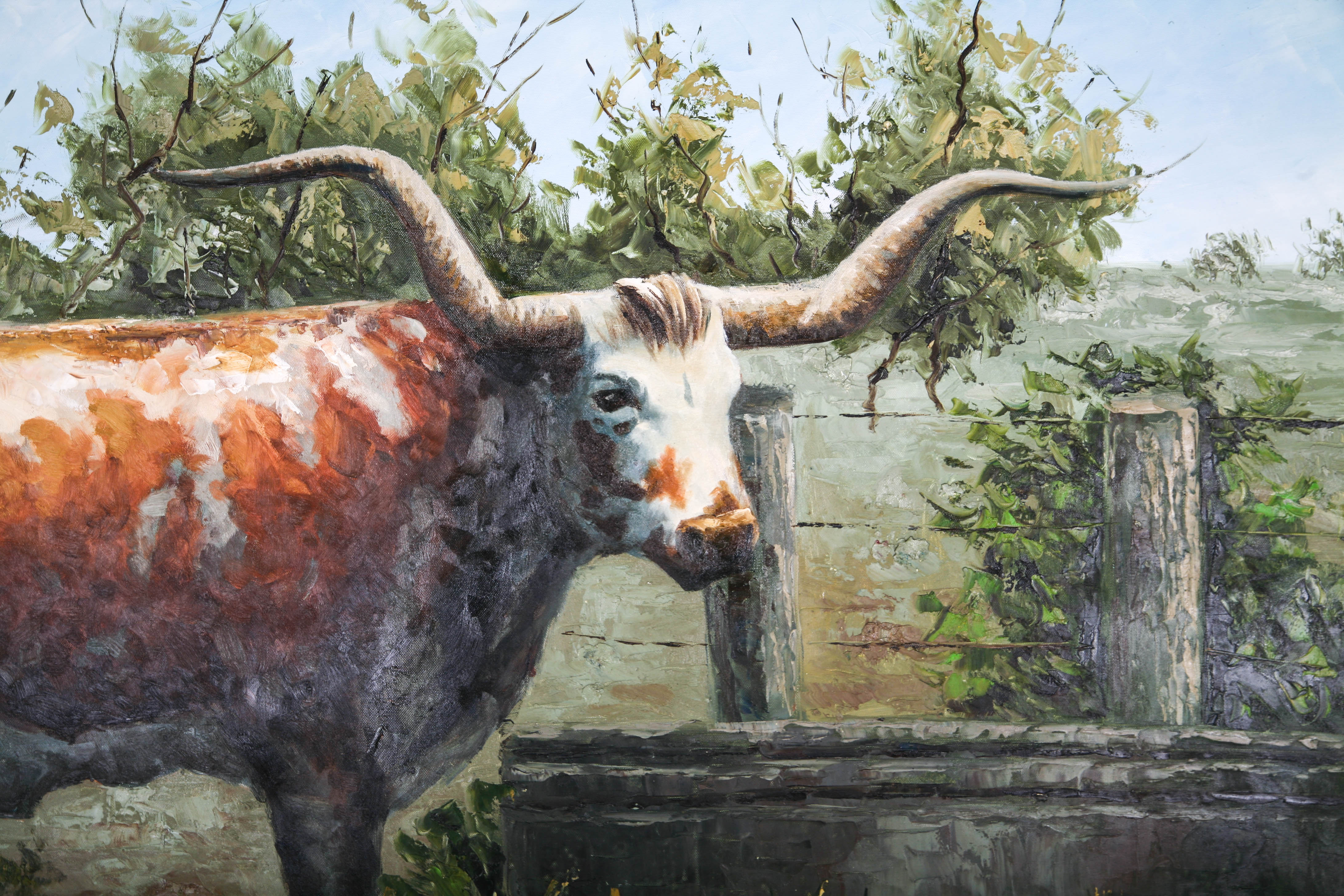 Oil Painting on Canvas of Texas Longhorn Cow