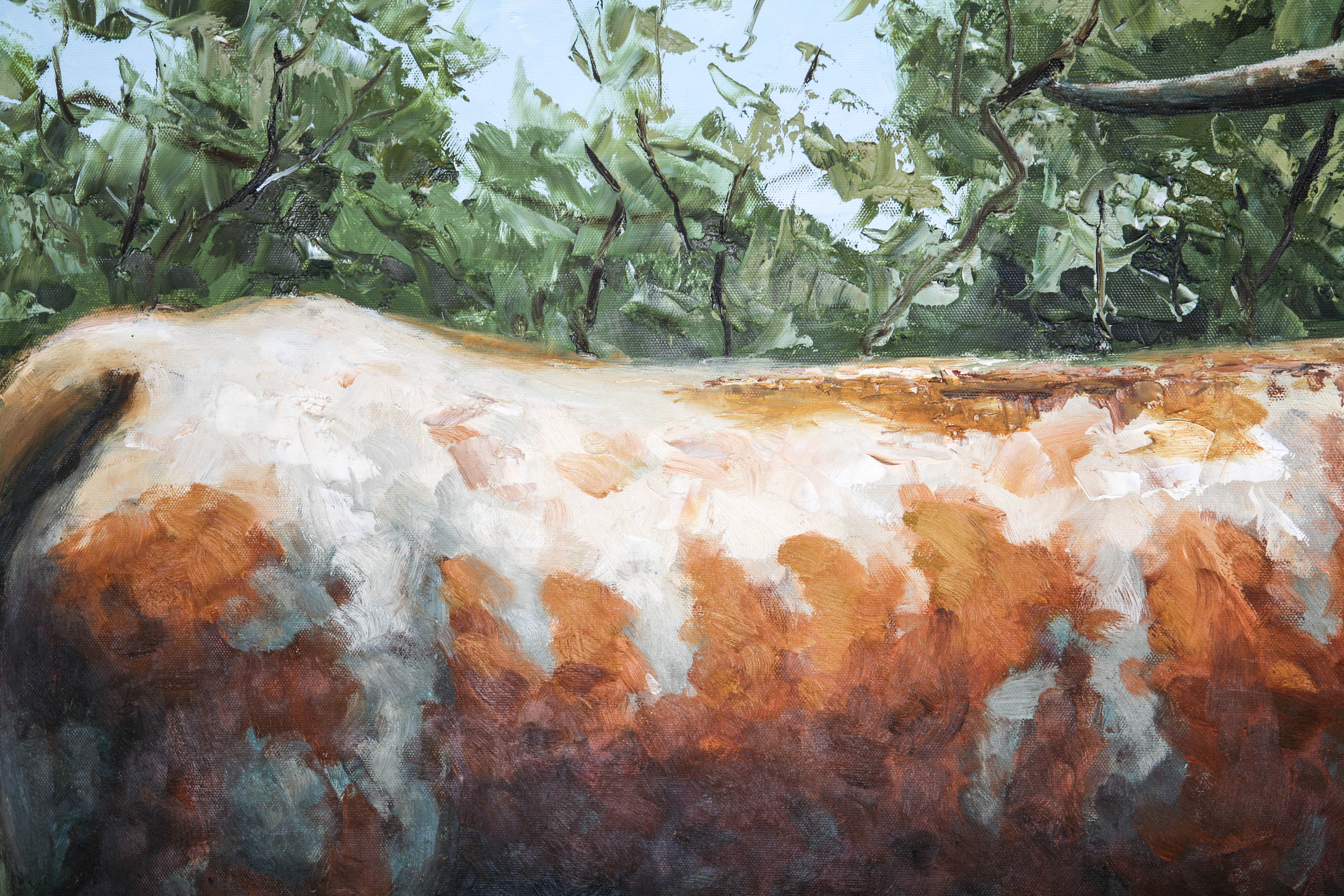 Oil Painting on Canvas of Texas Longhorn Cow