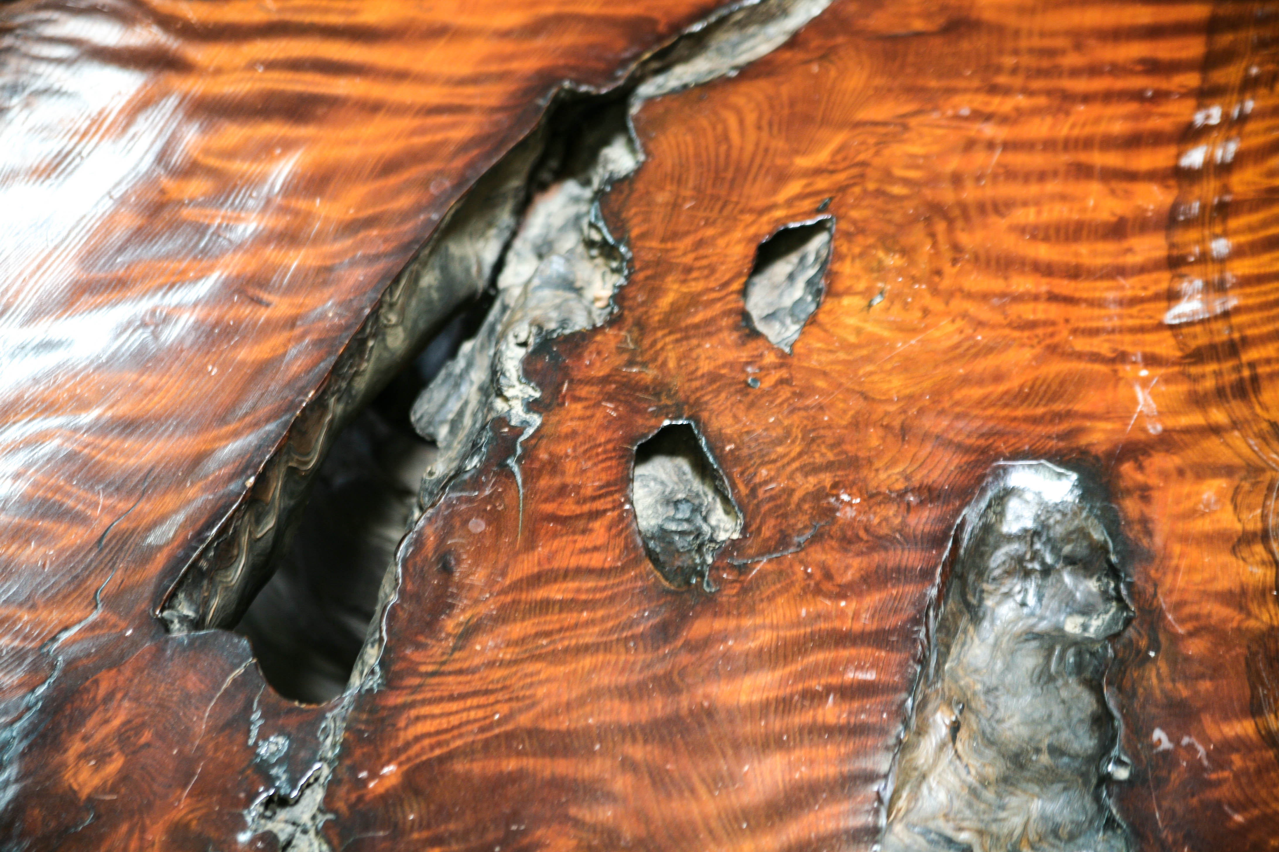 1960s Redwood Burl Coffee Table