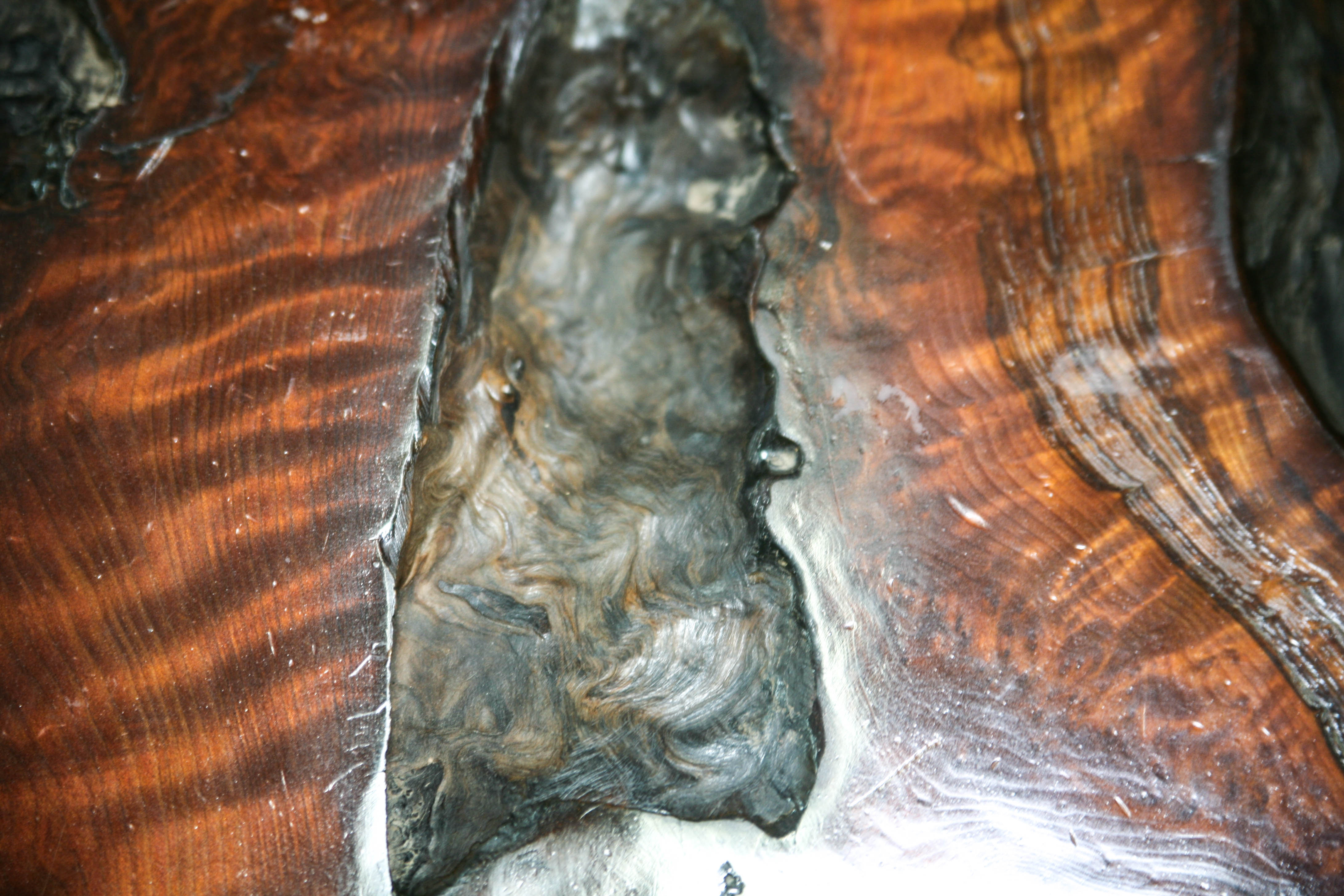 1960s Redwood Burl Coffee Table