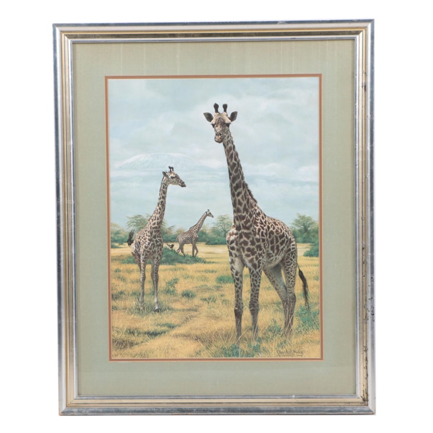 Charles Fracé Offset Lithograph on Paper "Masai Giraffes at Amboseli"