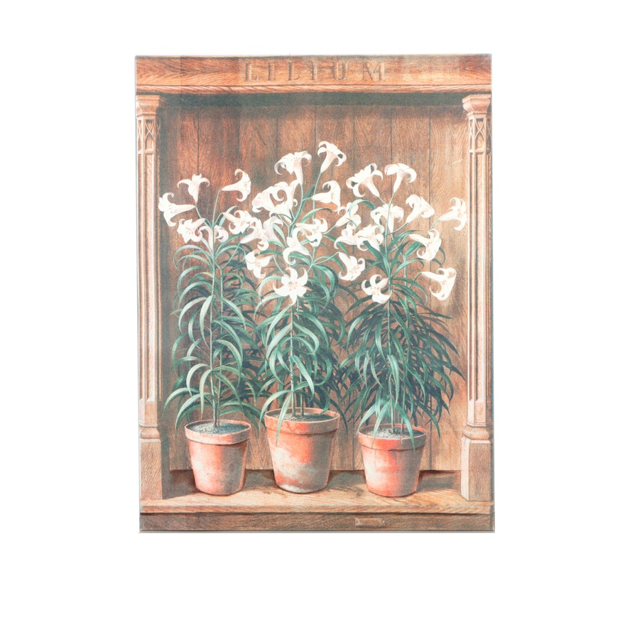 Fabrice de Villeneuve Limited Edition Giclee on Canvas "Lilium"