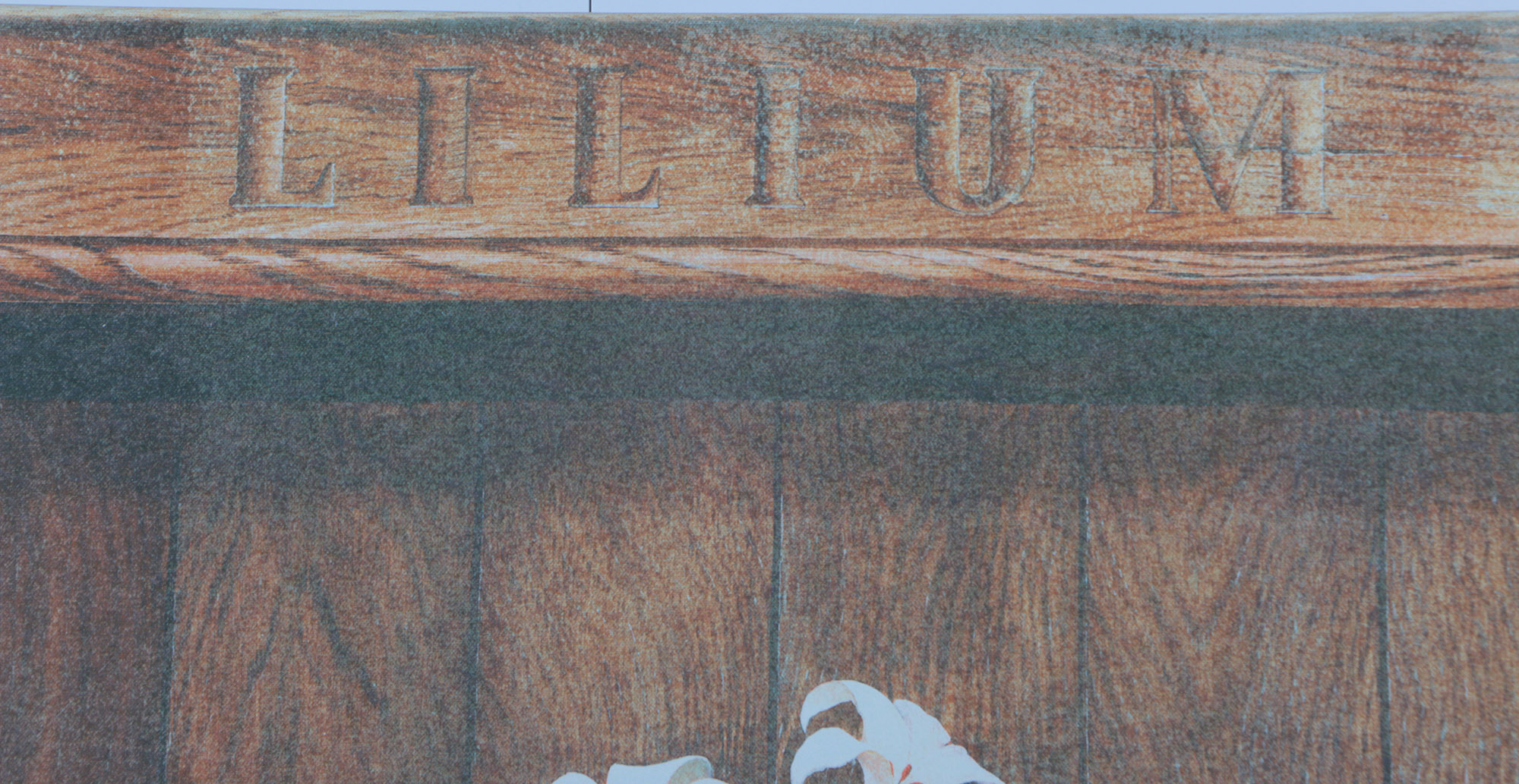 Fabrice de Villeneuve Limited Edition Giclee on Canvas "Lilium"