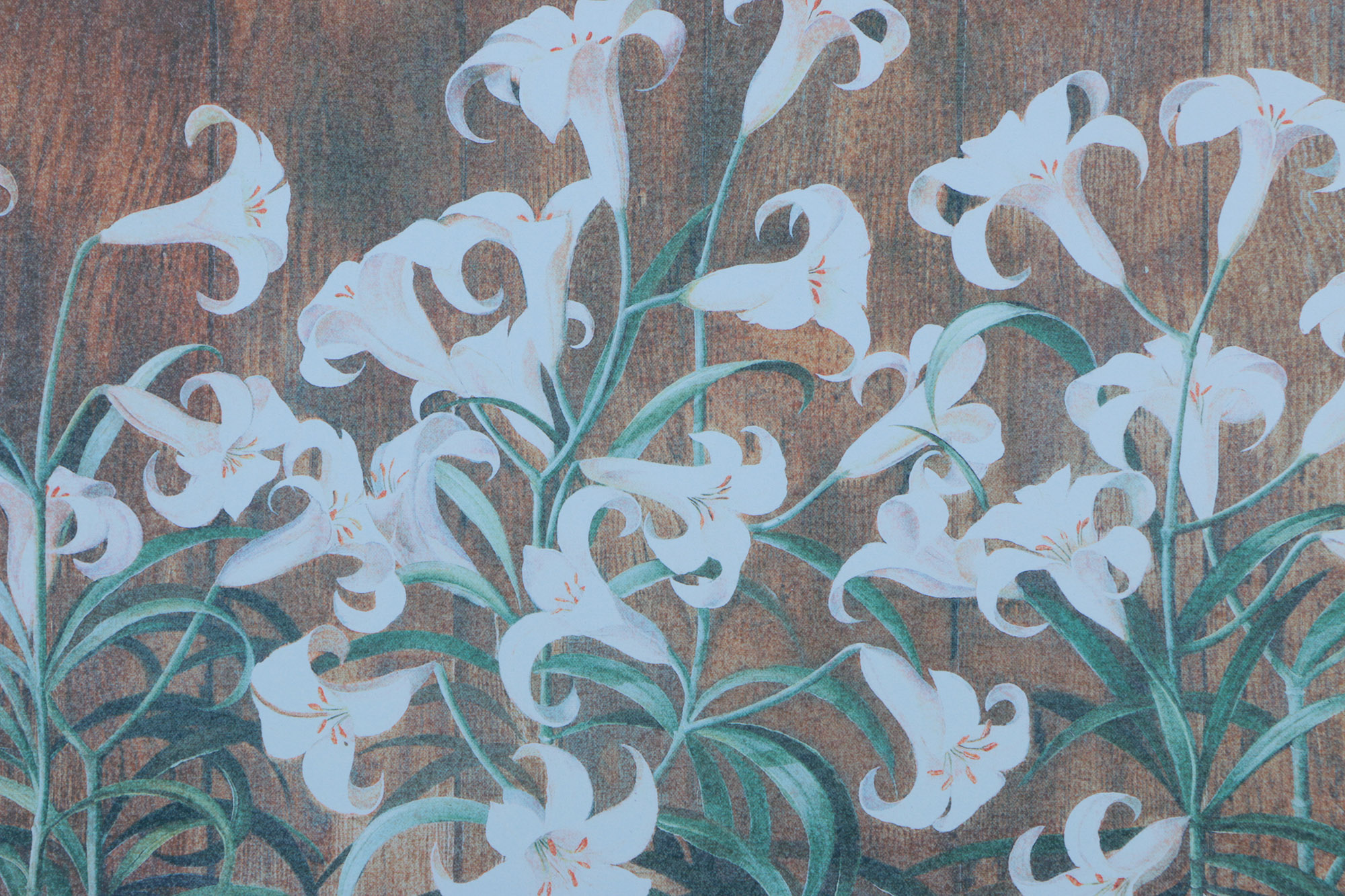 Fabrice de Villeneuve Limited Edition Giclee on Canvas "Lilium"