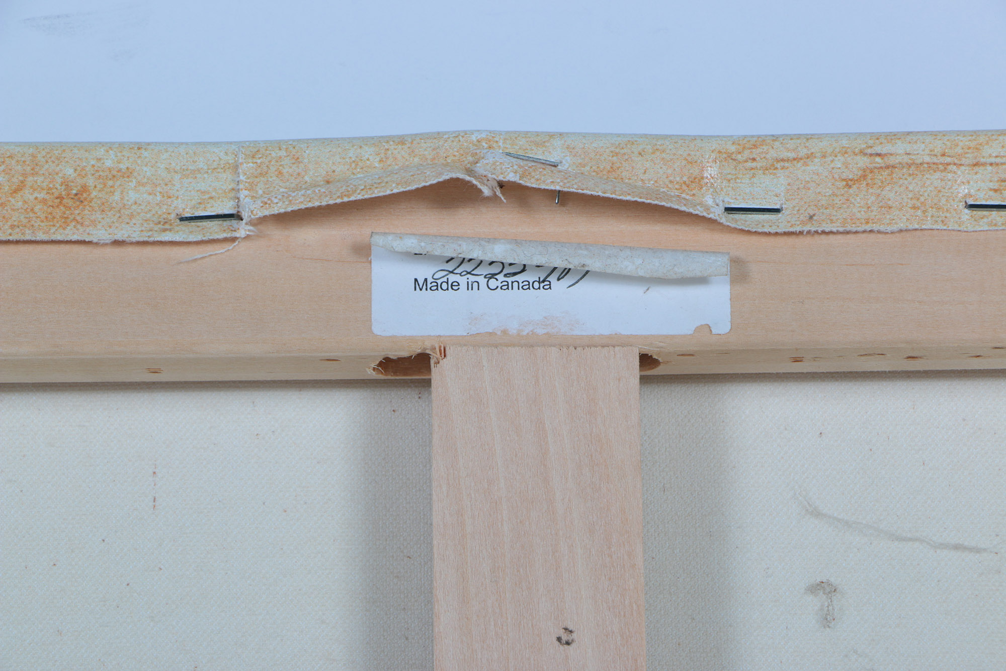 Fabrice de Villeneuve Limited Edition Giclee on Canvas "Lilium"