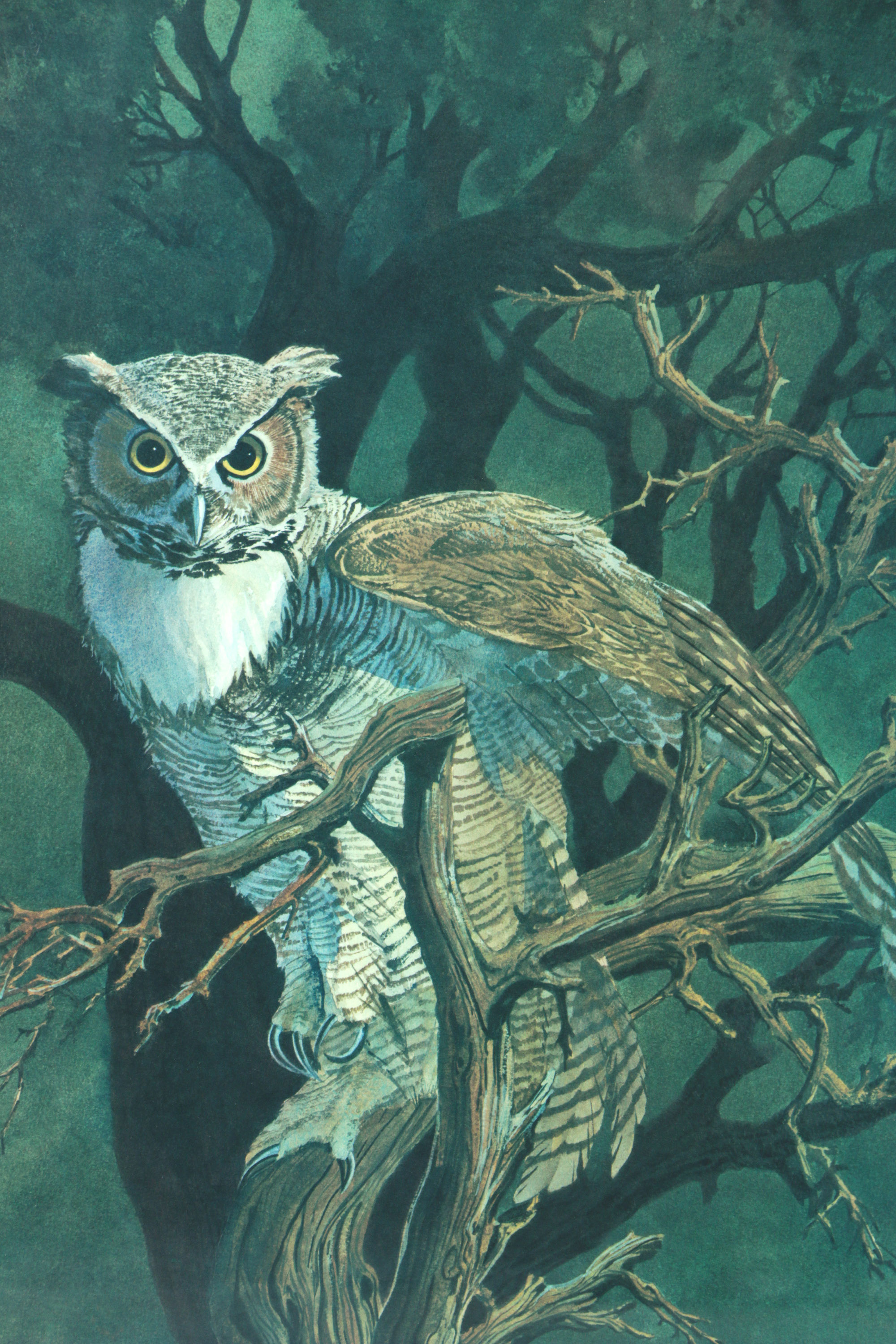 Giclee Print After Bruce Lattig of Great Horned Owl